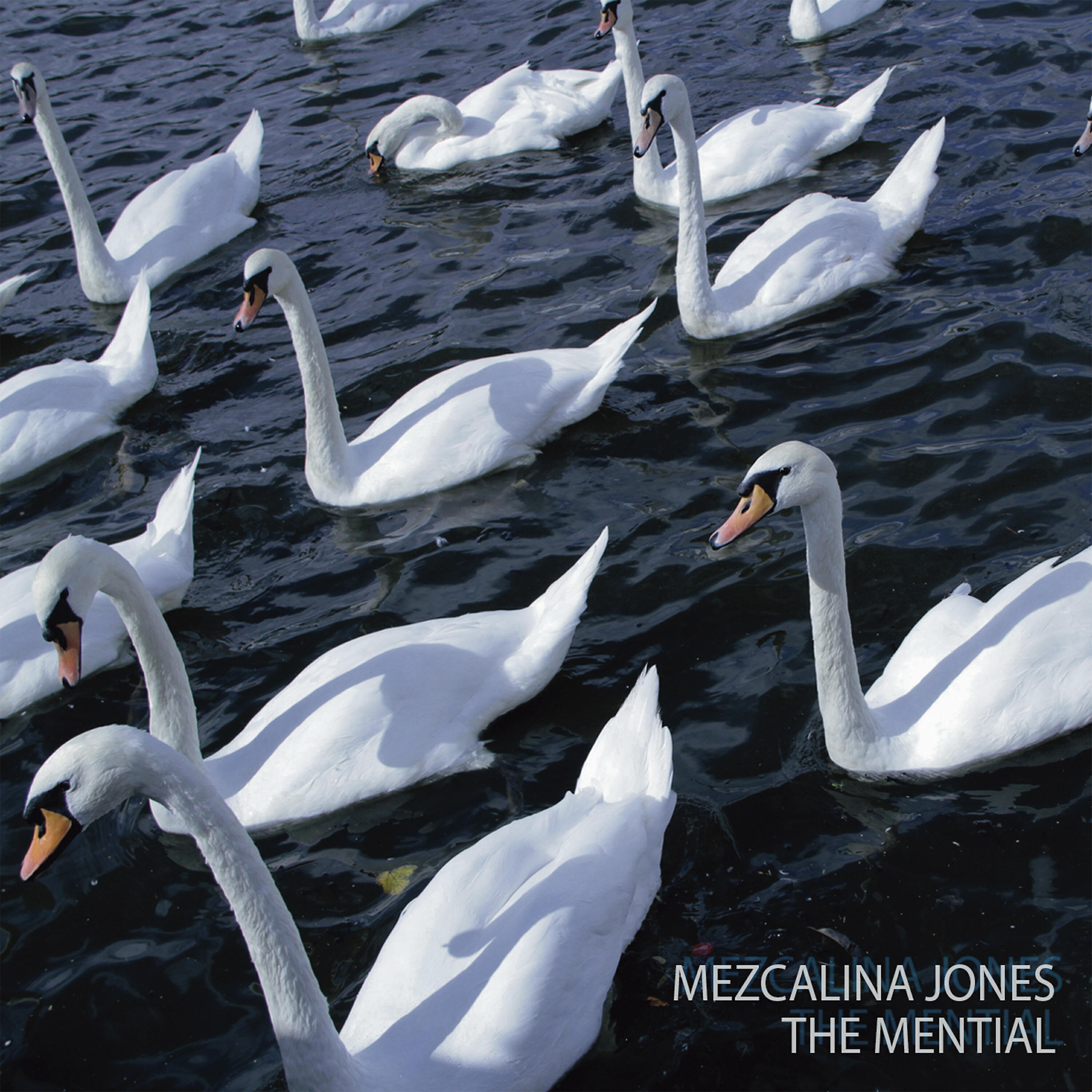 Mezcalina Jones - The Manuscript Exists