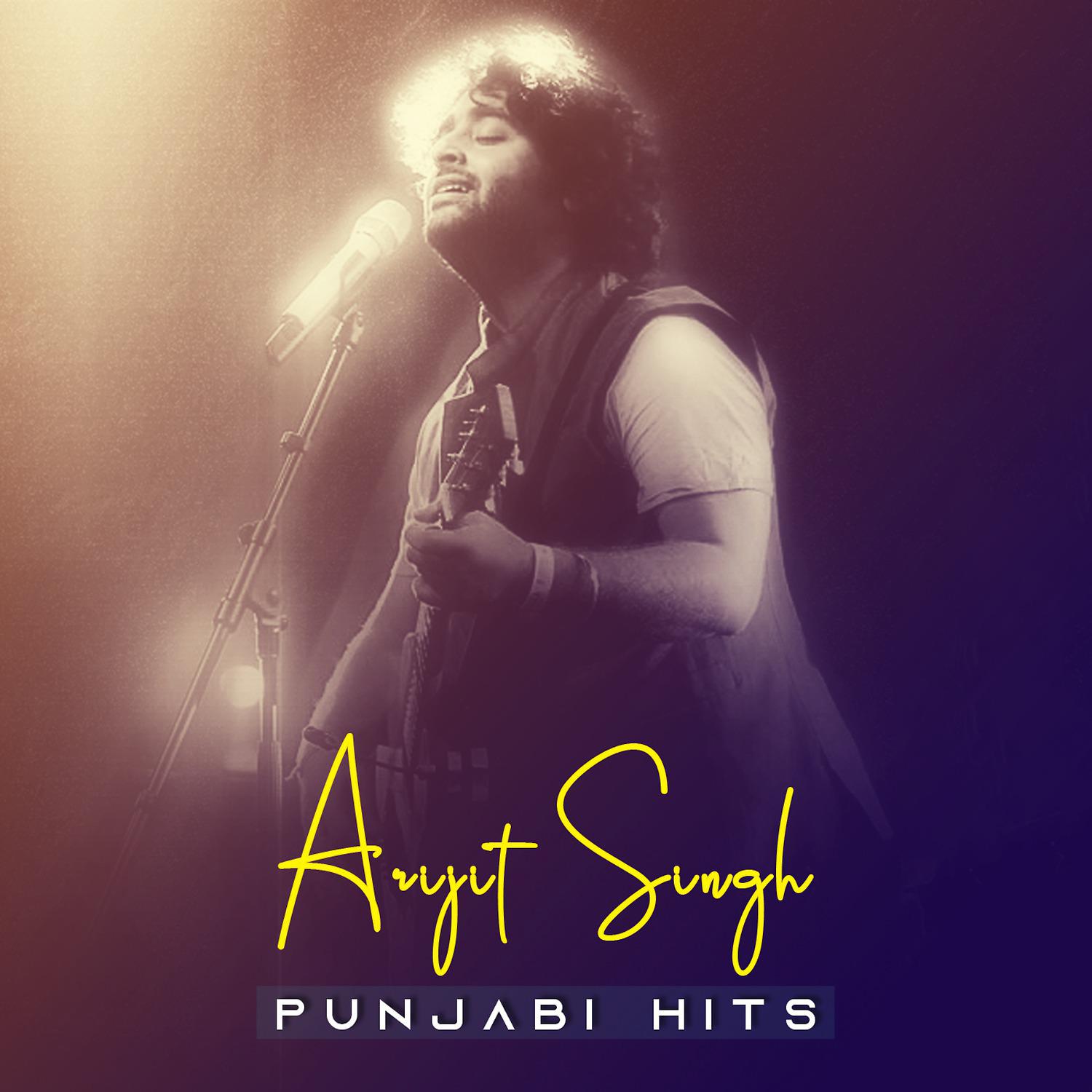 Постер альбома Punjabi Hits