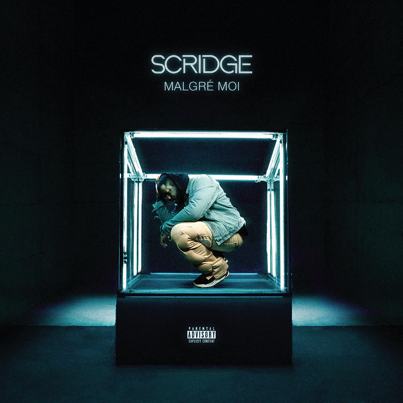 Scridge - Problèmes