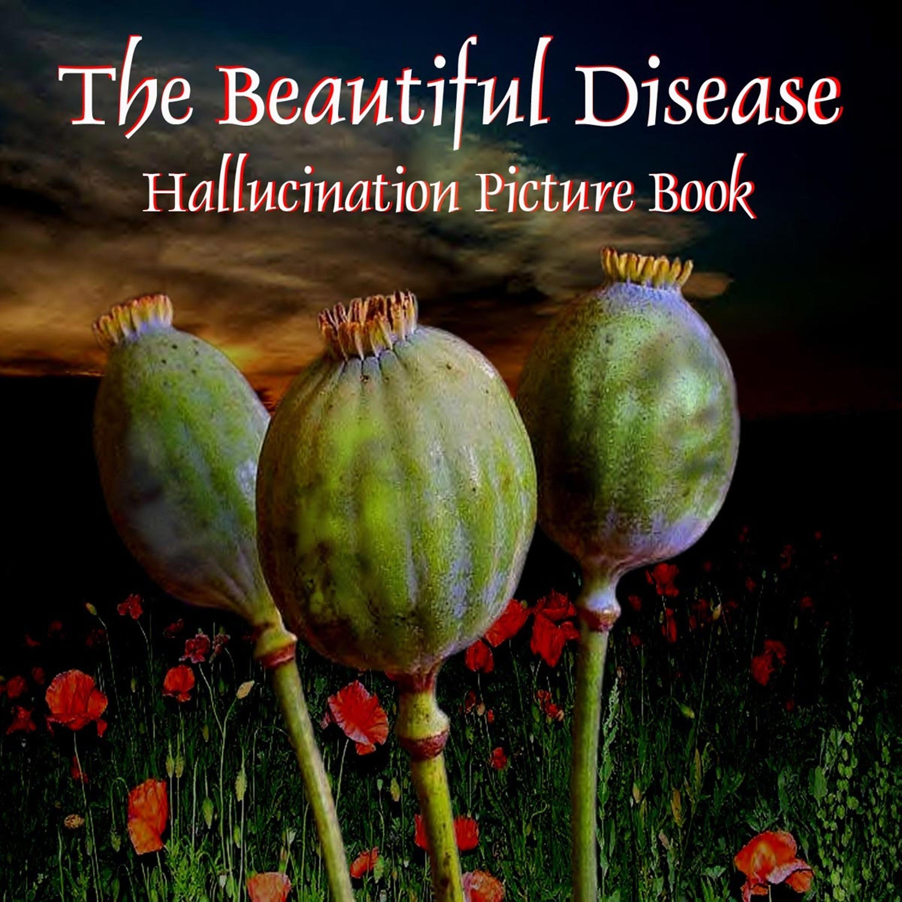 Постер альбома Hallucination Picture Book