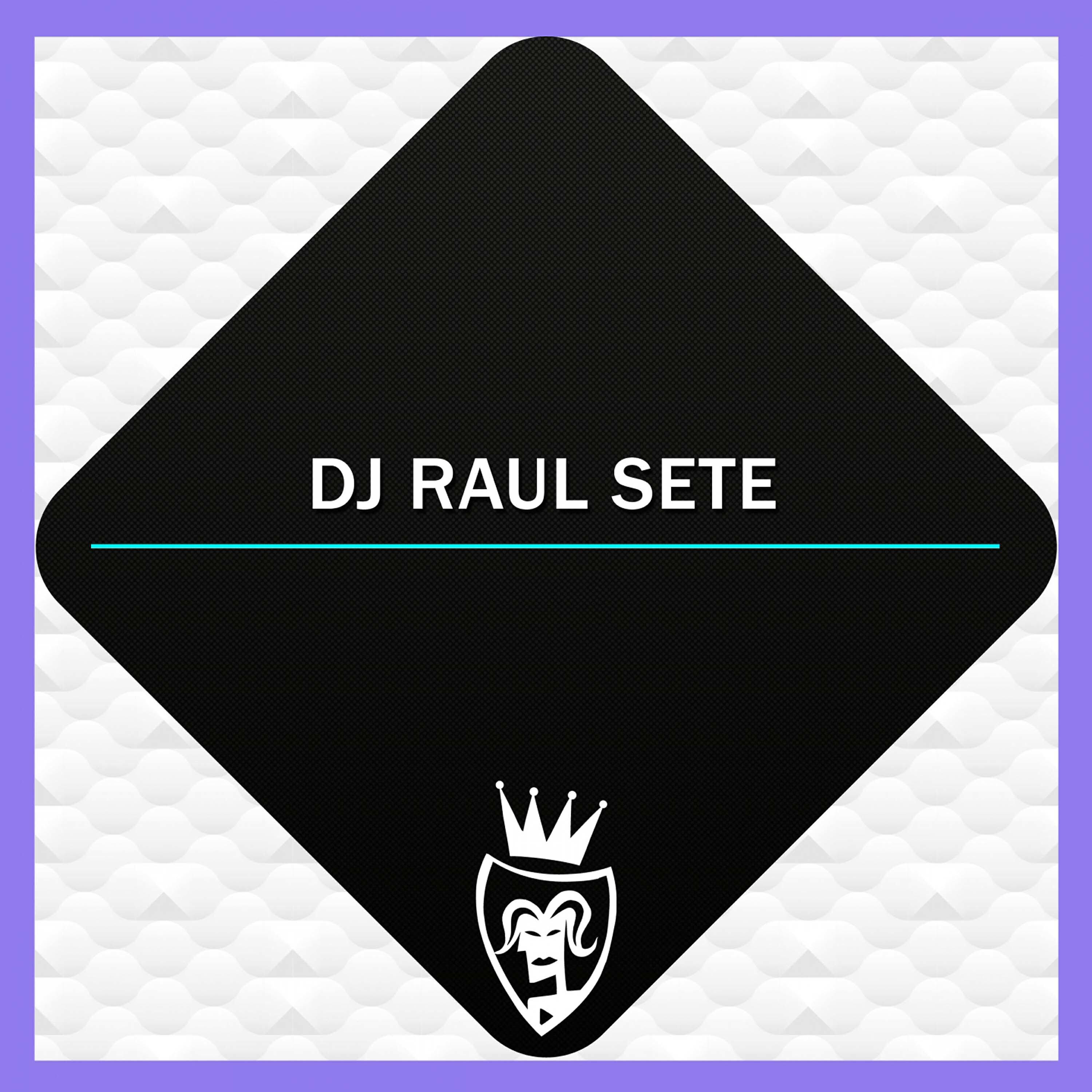 DJ Raul Sete - Maybe Mr. President (Special Base)