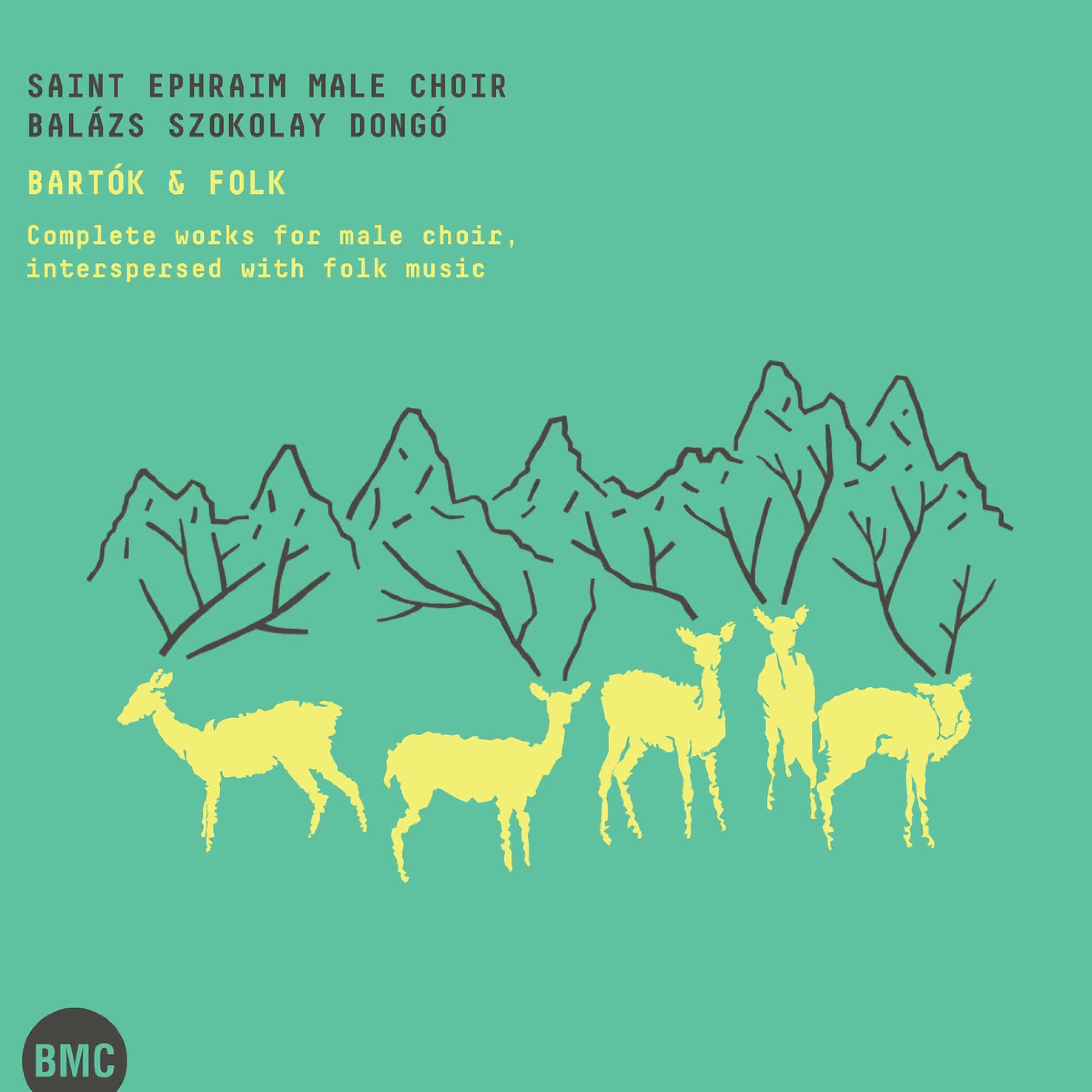Постер альбома Bartók: Bartók & Folk - Complete Works for Male Choir Interspersed with Folk Music