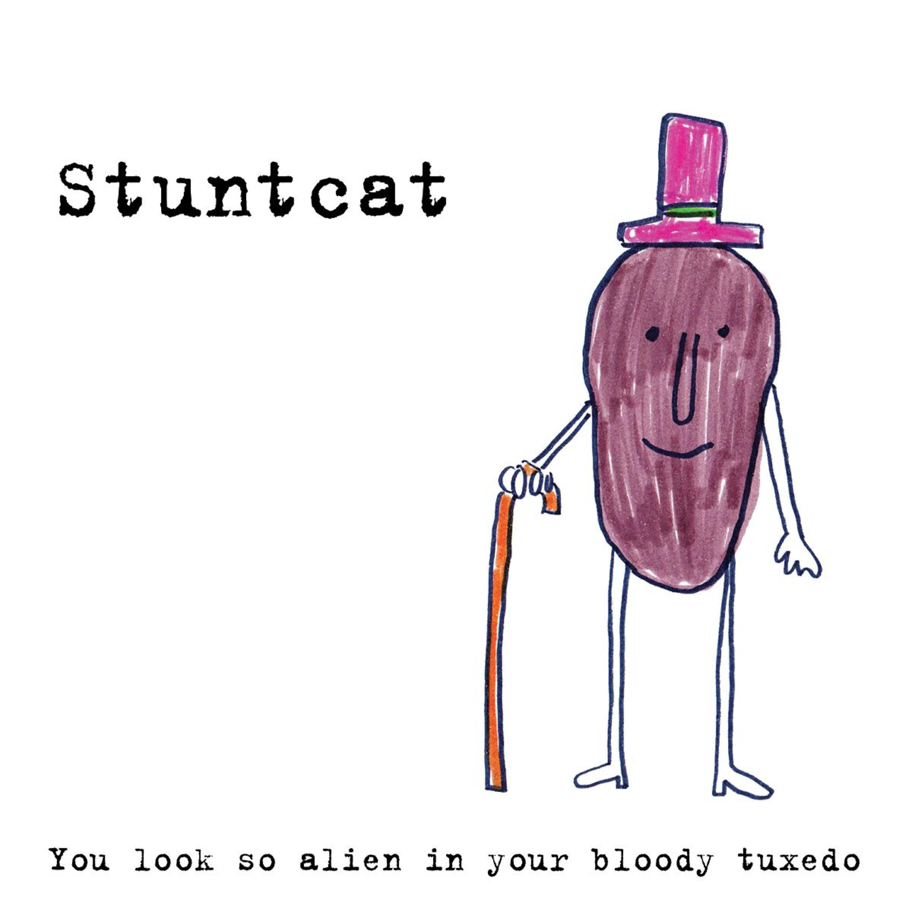 Stuntcat - Lindsey Buckingham