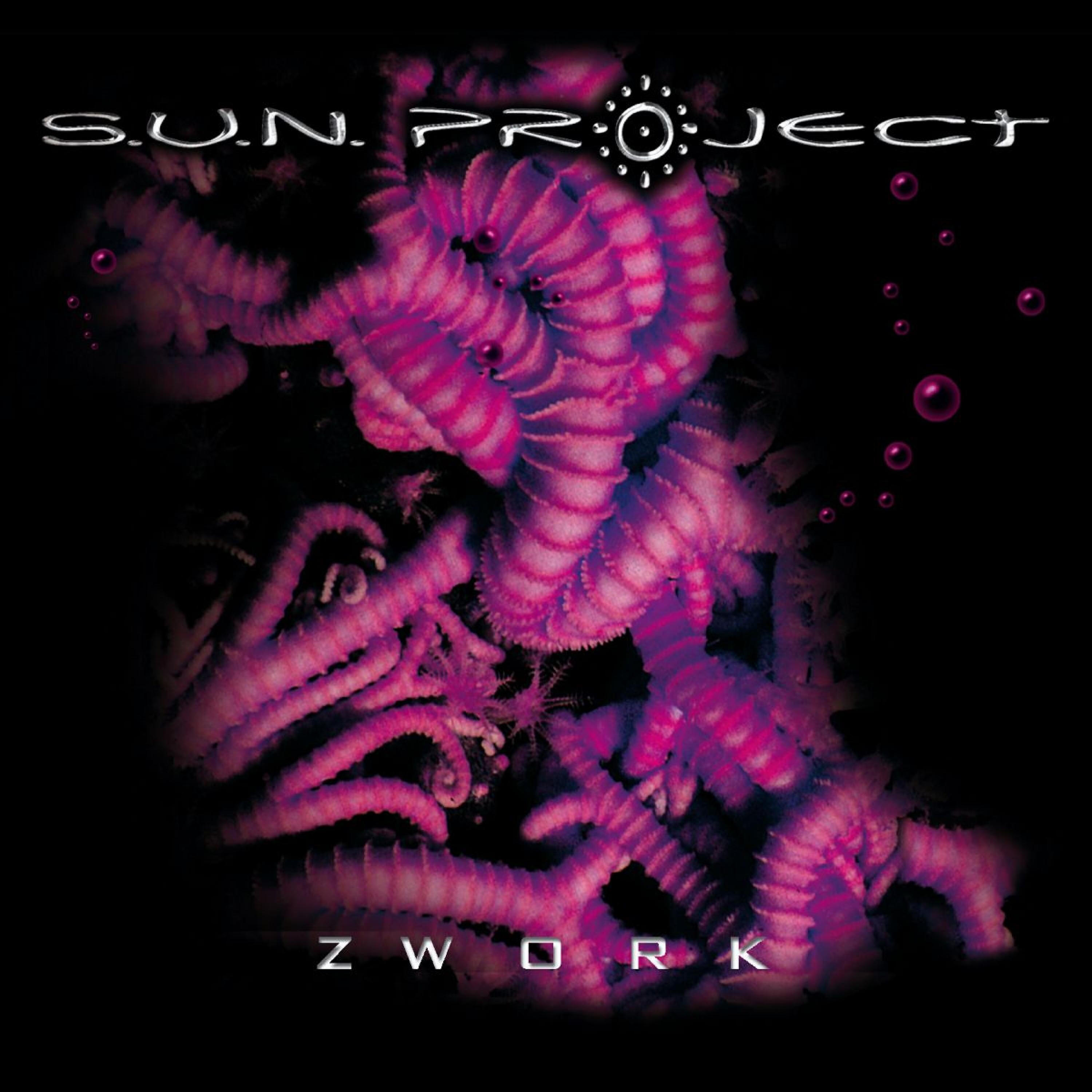 SUN PROJECT - Copeland