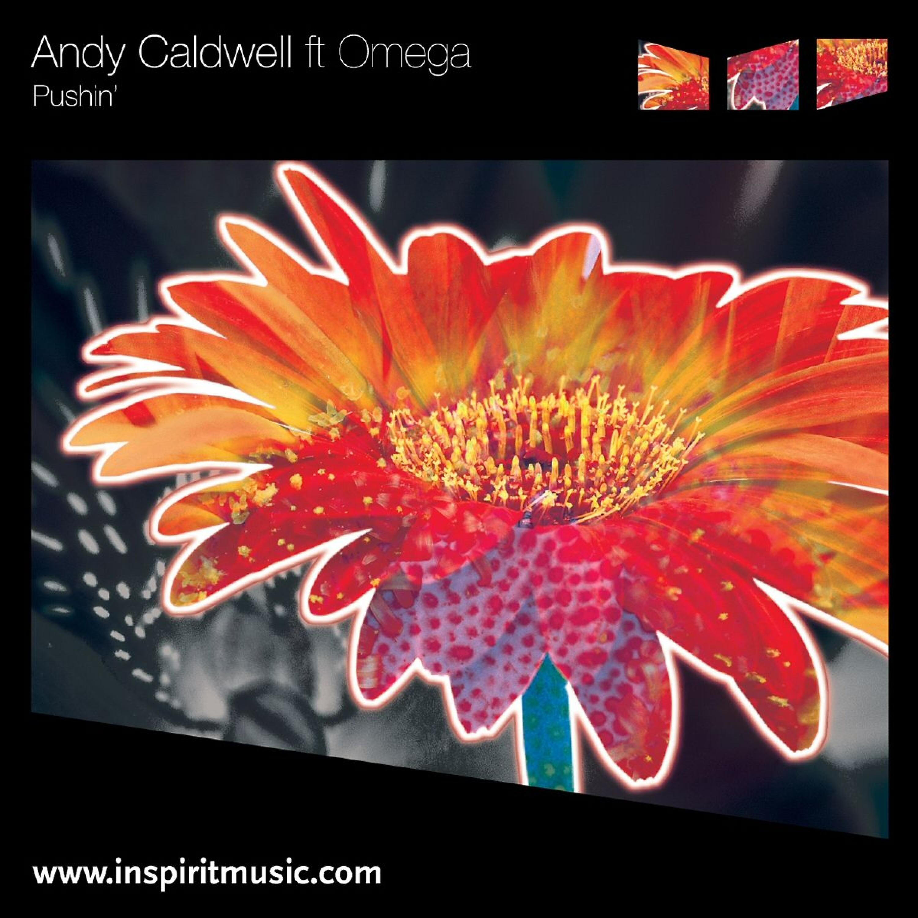 Andy Caldwell - Pushin' (Andy's Dub Perspective)