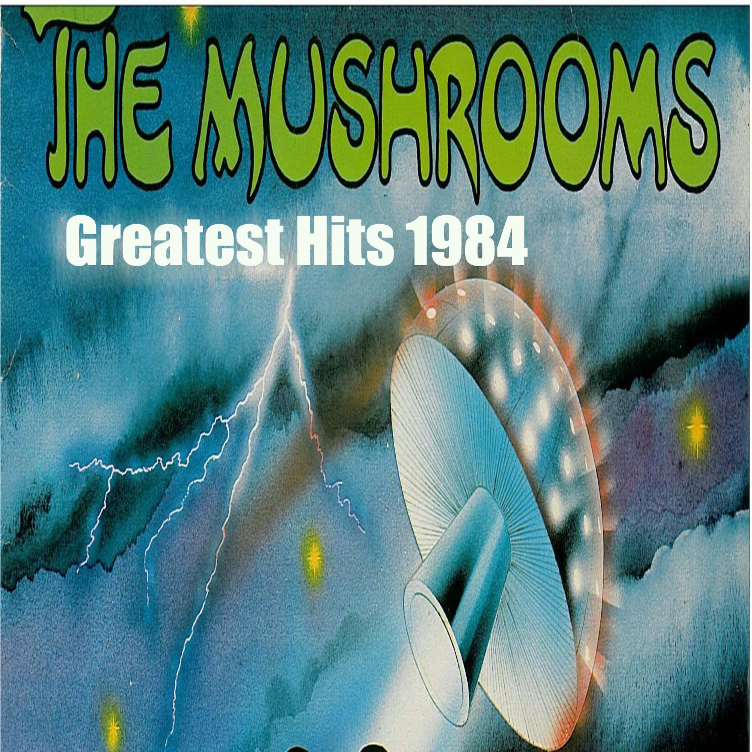 Постер альбома Greatest Hits 1984