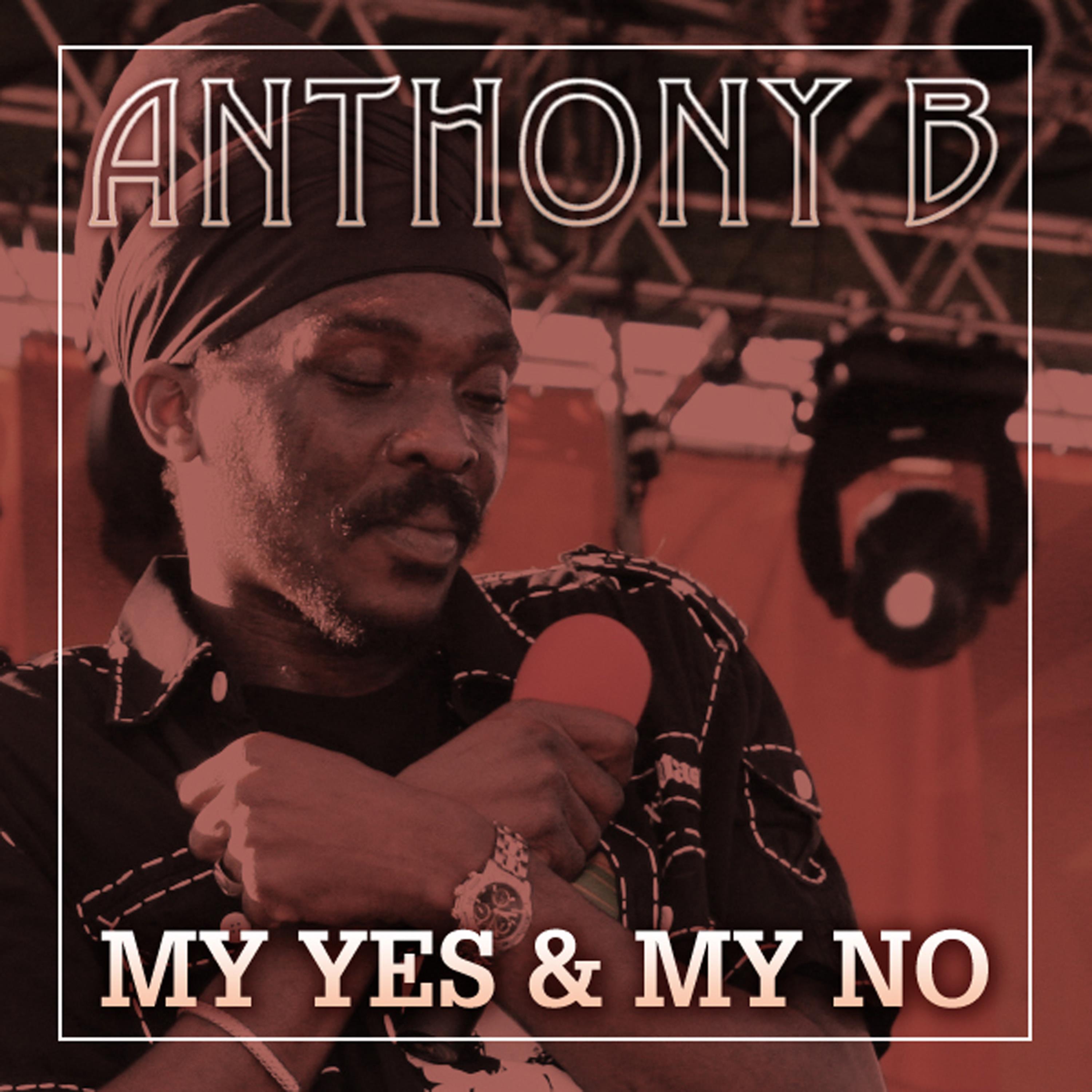 Постер альбома My Yes & My No