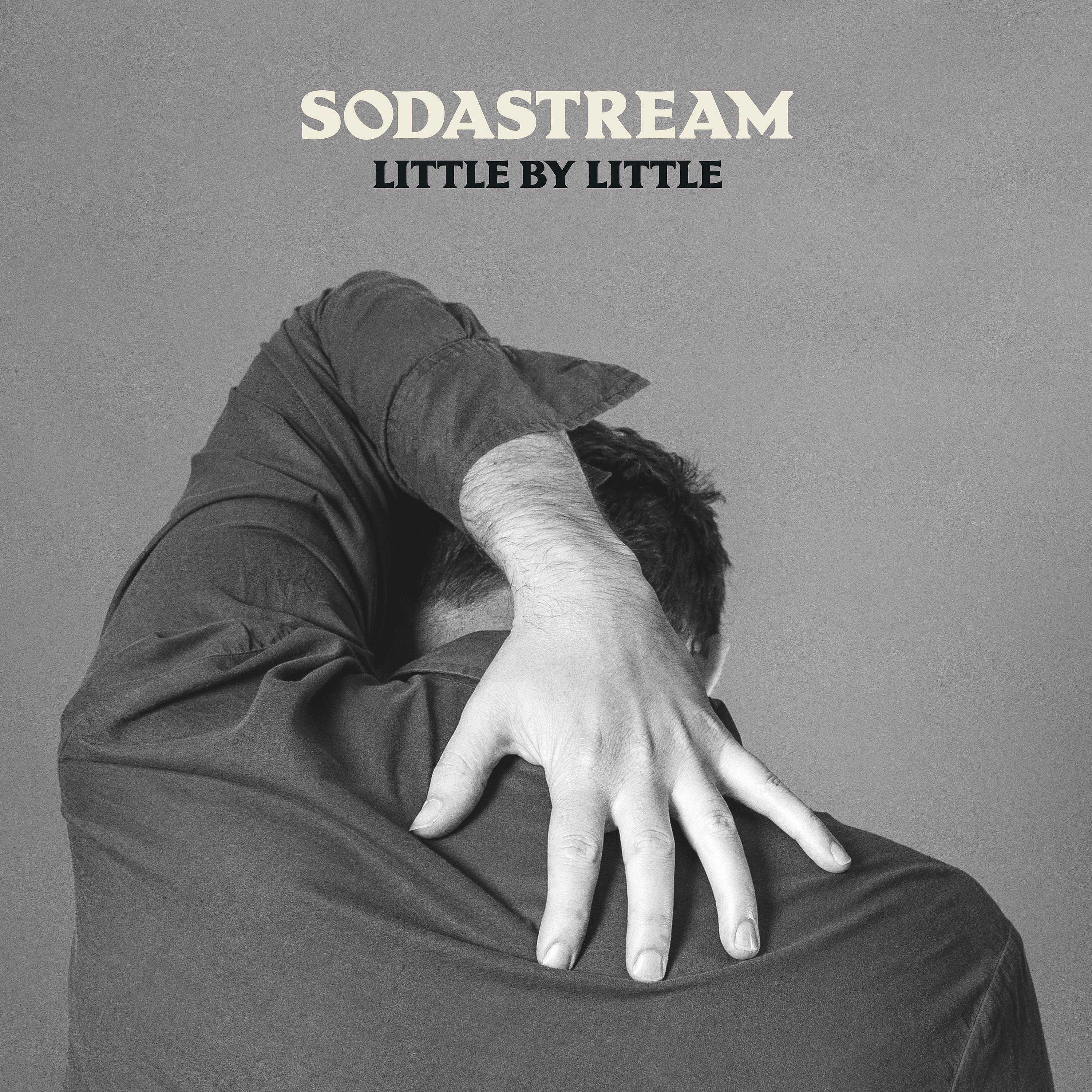 Постер альбома Little by Little