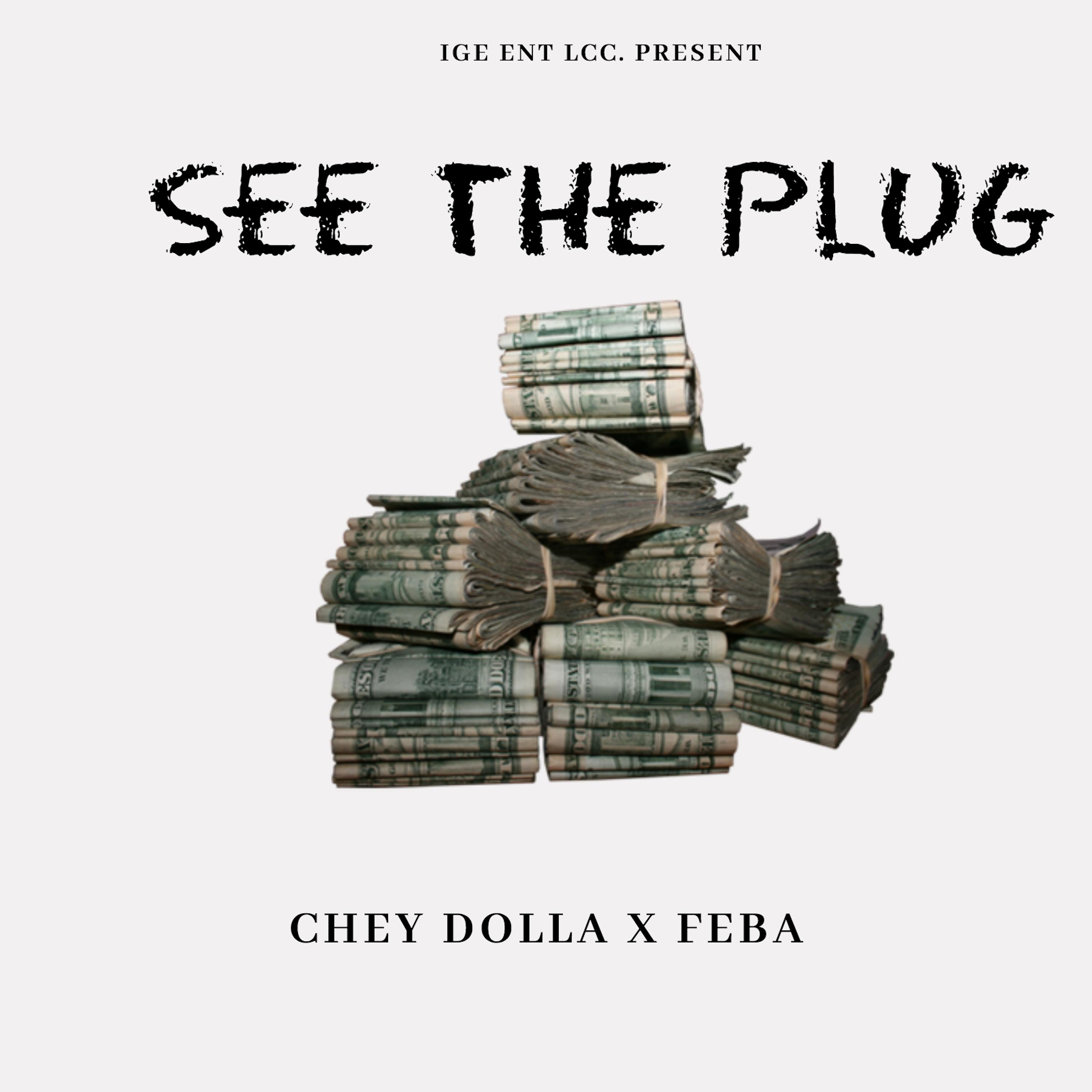 Постер альбома See the Plug