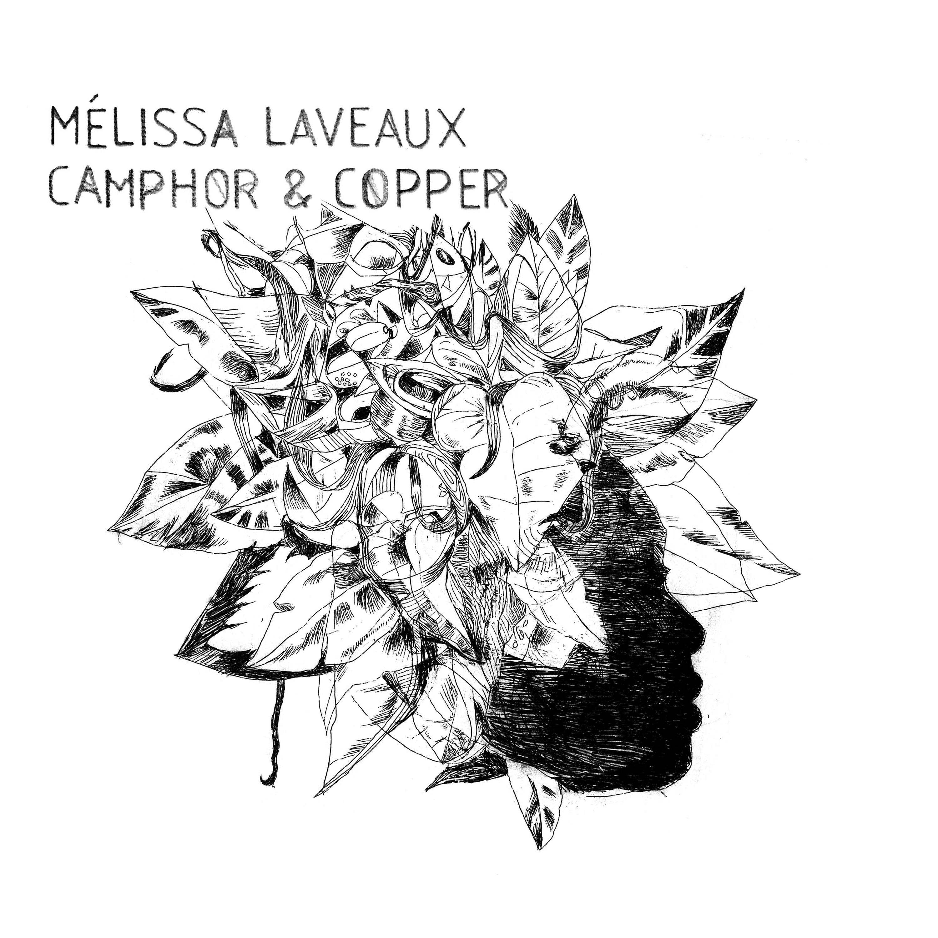 Постер альбома Camphor & Copper