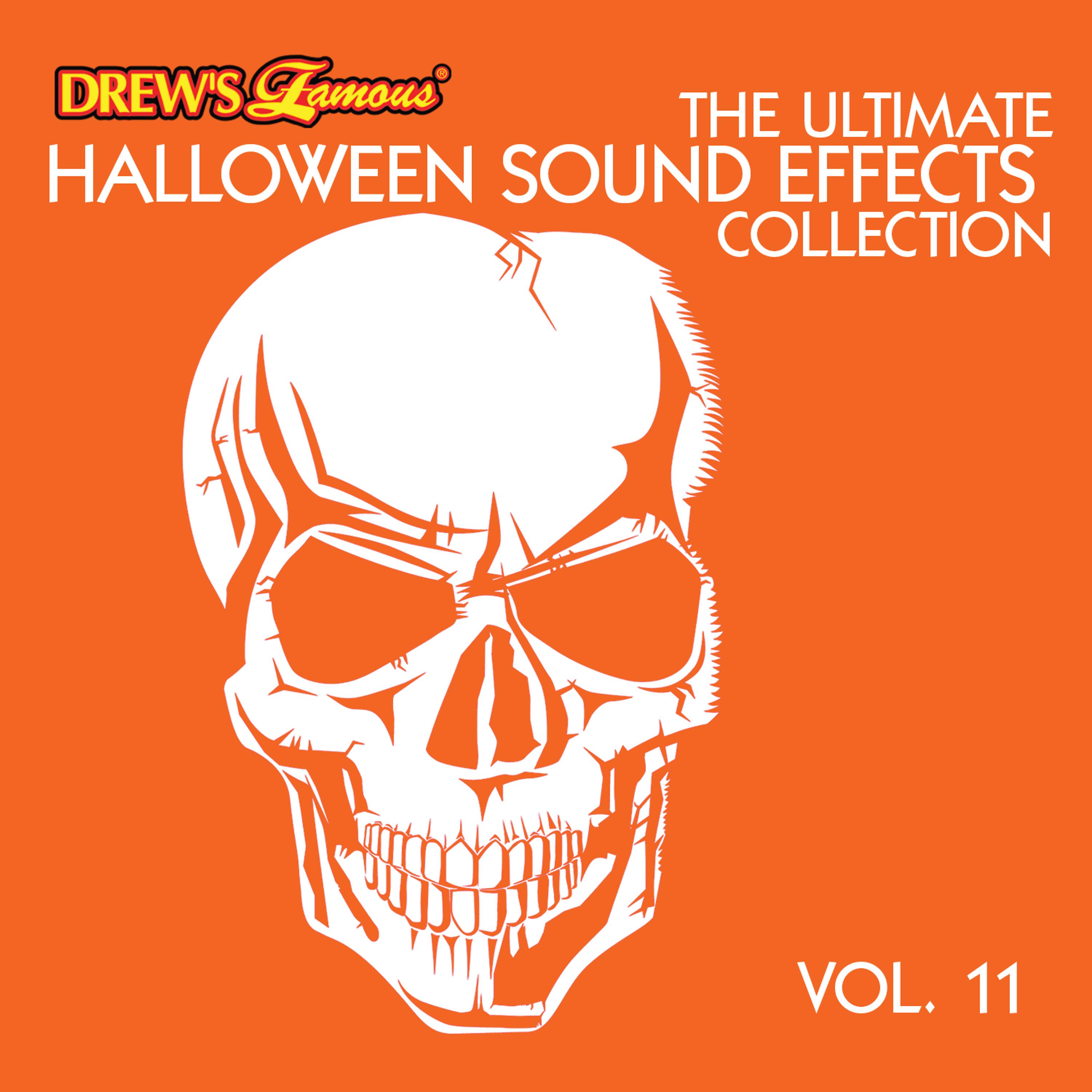 Постер альбома The Ultimate Halloween Sound Effects Collection, Vol. 11