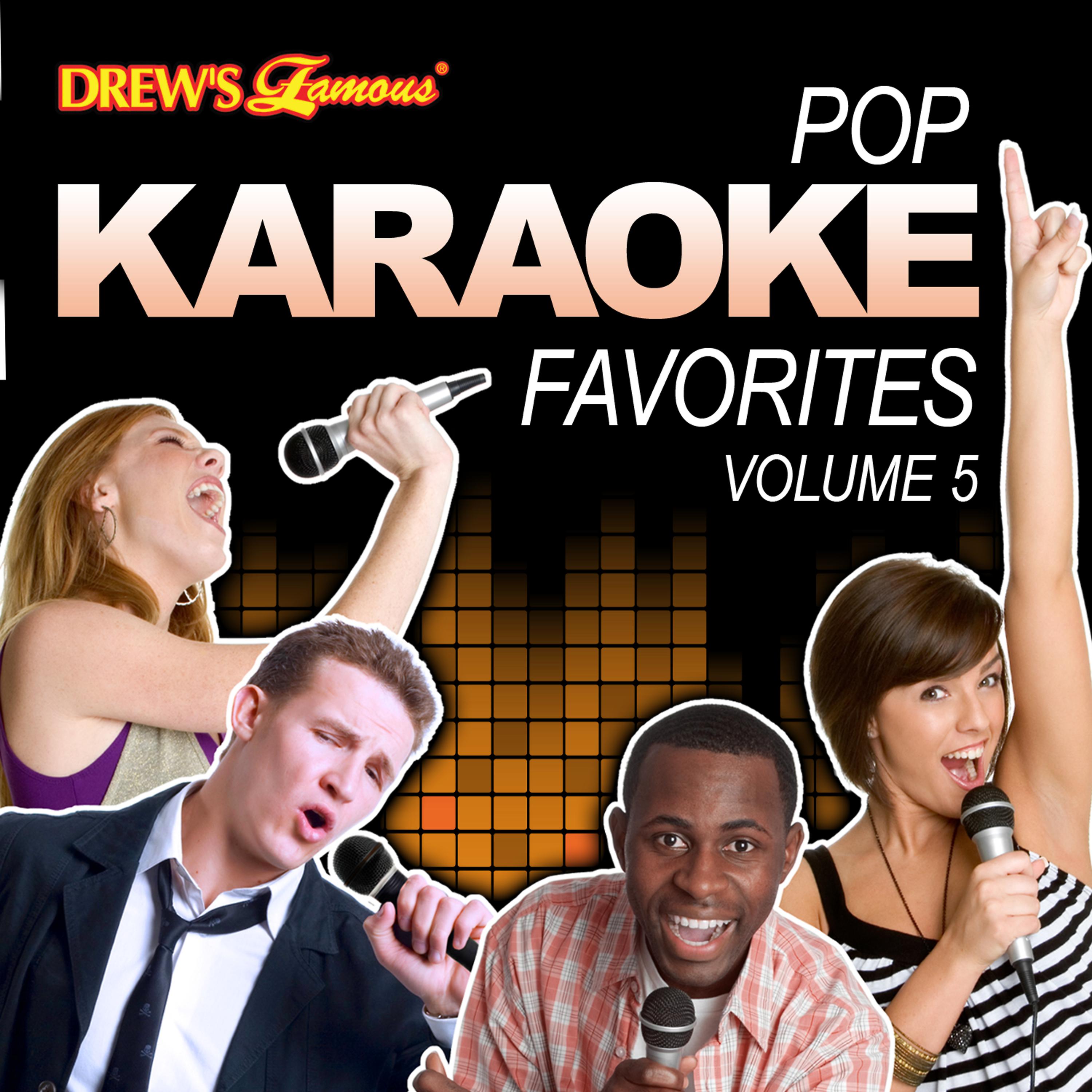 Постер альбома Pop Karaoke Favorites, Vol. 5