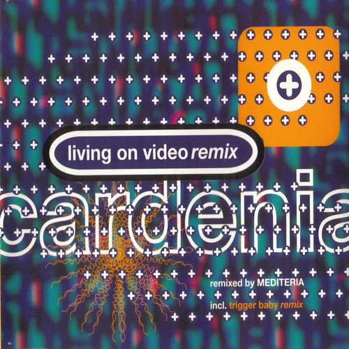 Постер альбома Living on Video  Remixes