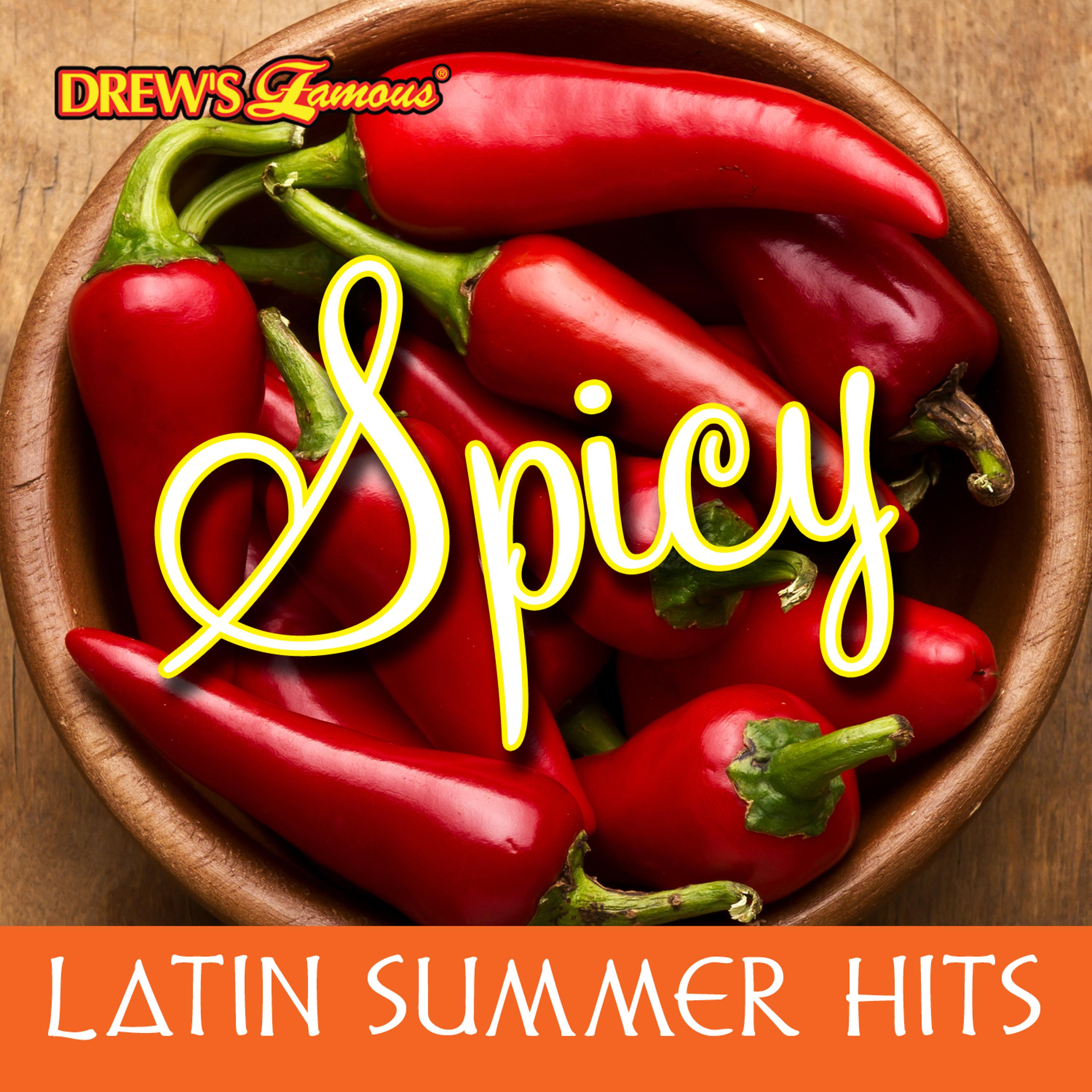 Постер альбома Spicy Latin Summer Hits
