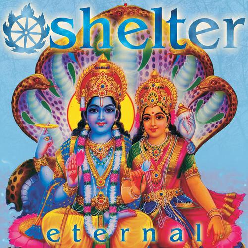 Shelter - First Priority