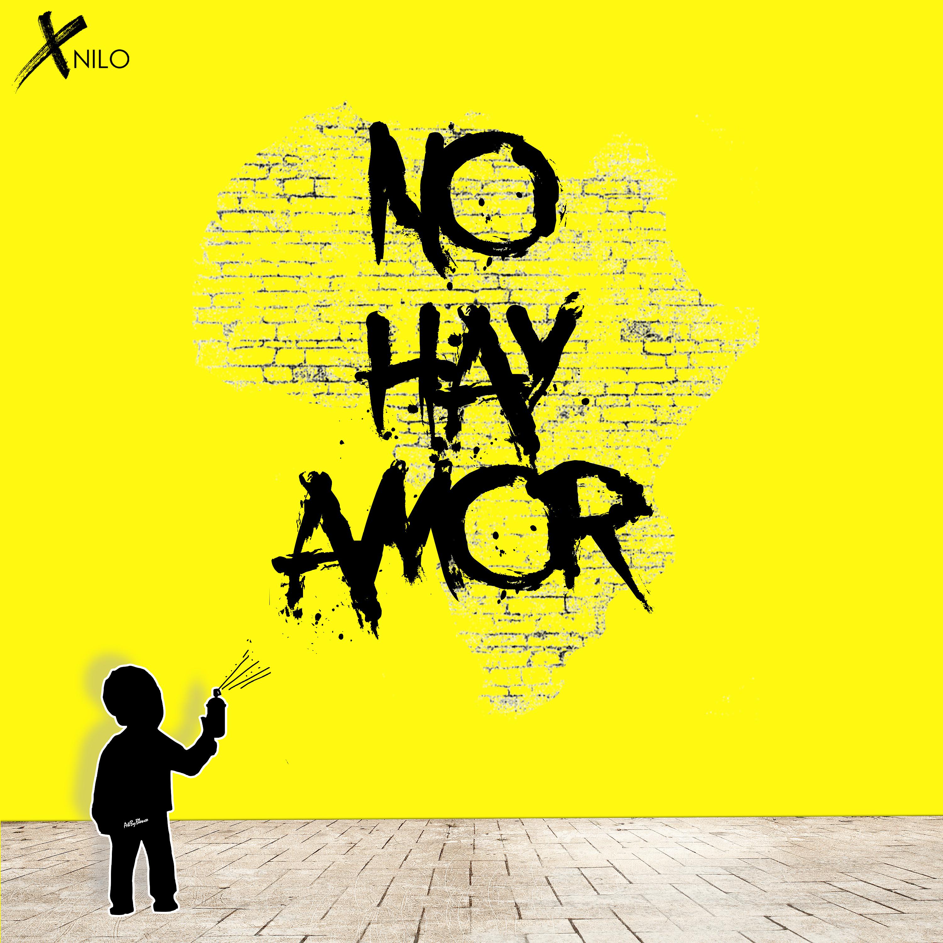 Постер альбома No Hay Amor