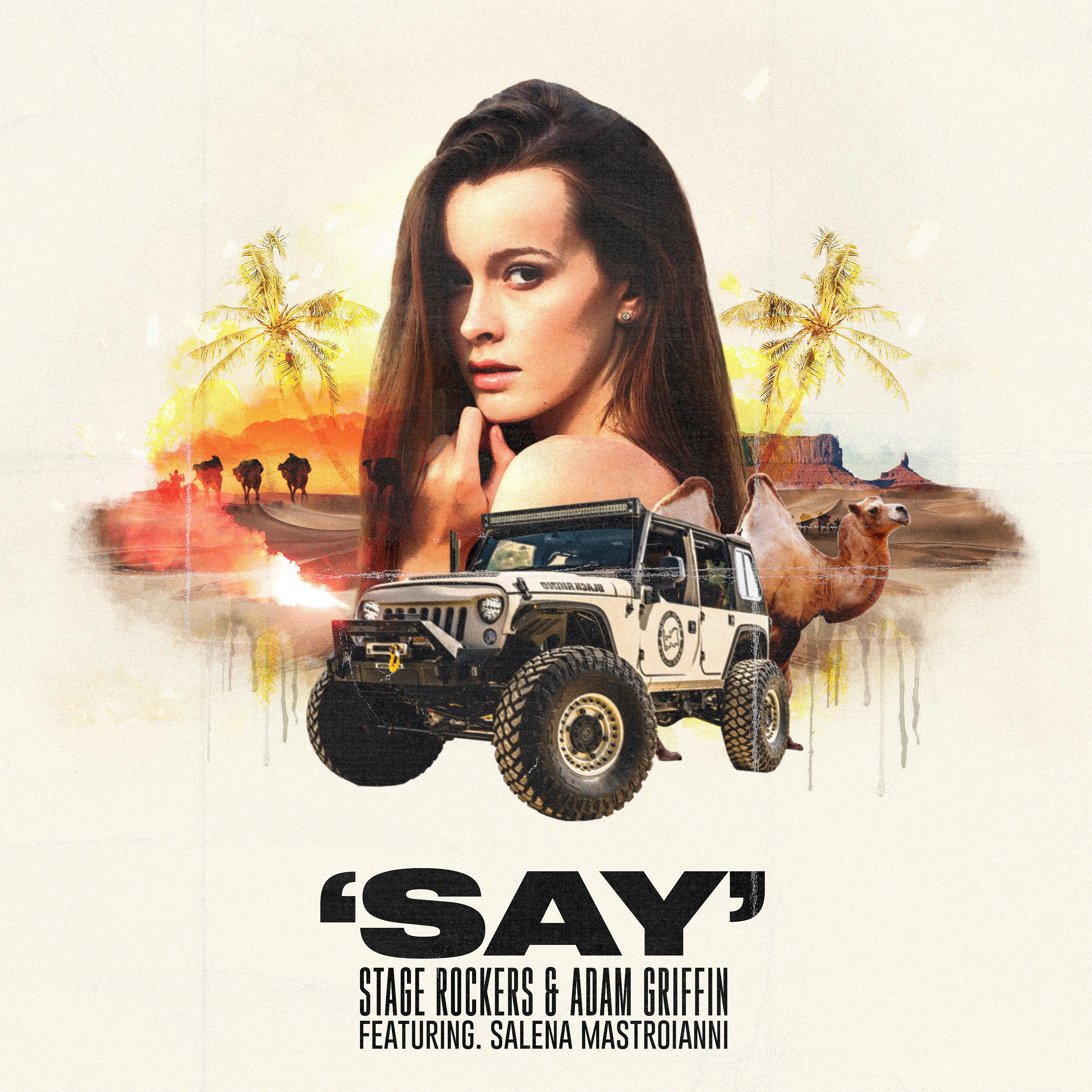 Постер альбома Say (feat. Salena Mastroianni)