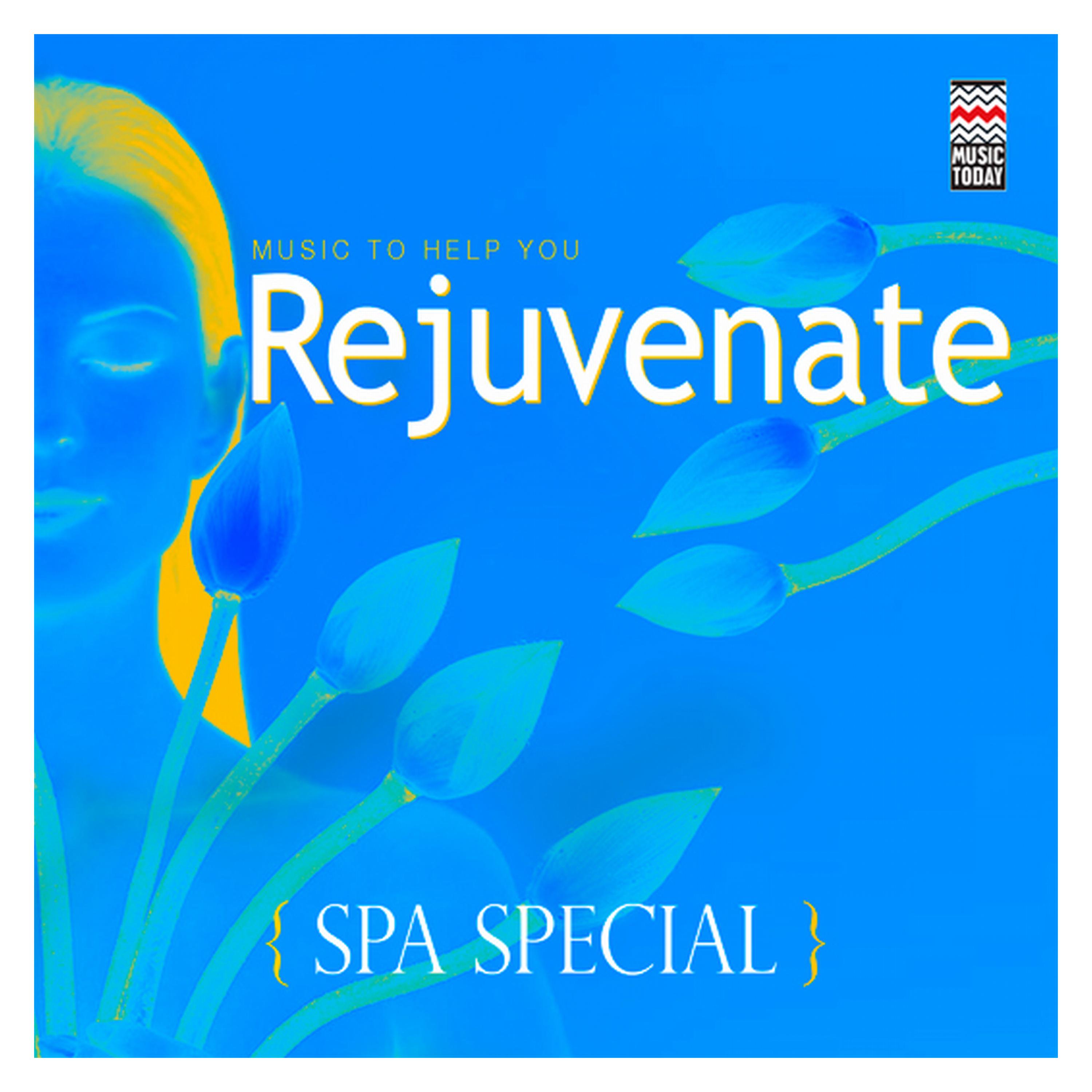 Постер альбома Spa Special - Music to  Help You Rejuvenate