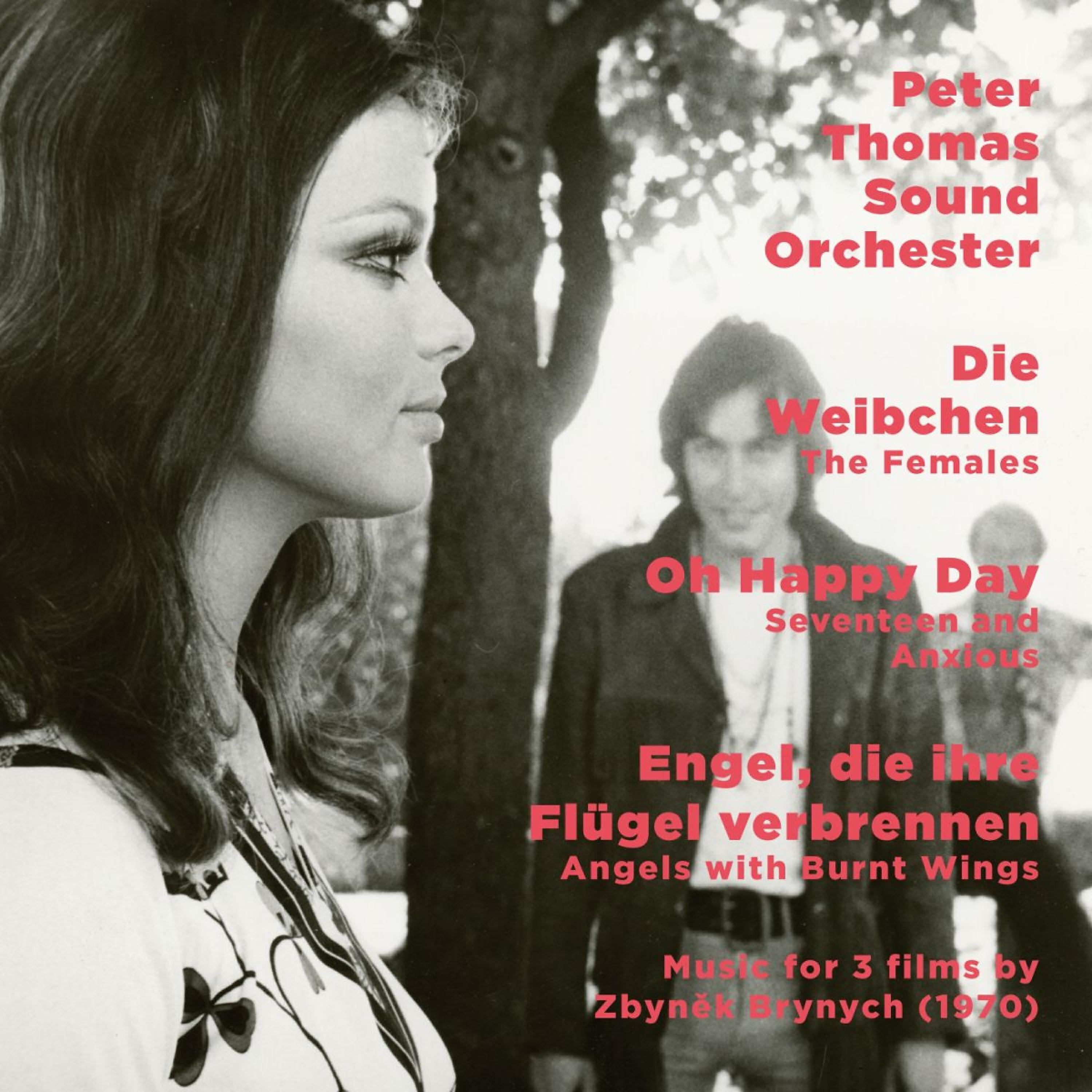 Peter Thomas Sound Orchester - Motorama