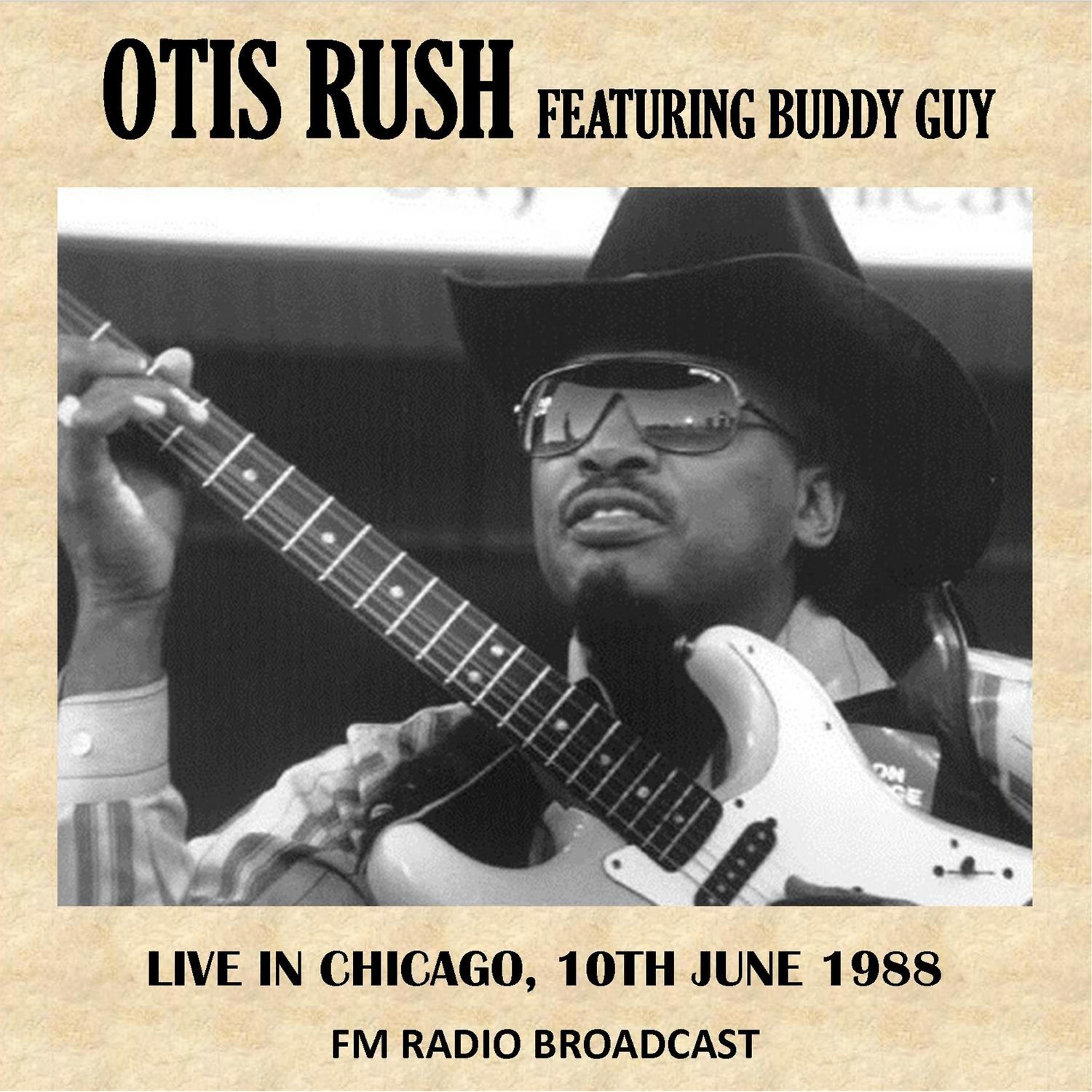 Постер альбома Live in Chicago, 1988 (Fm Radio Broadcast)