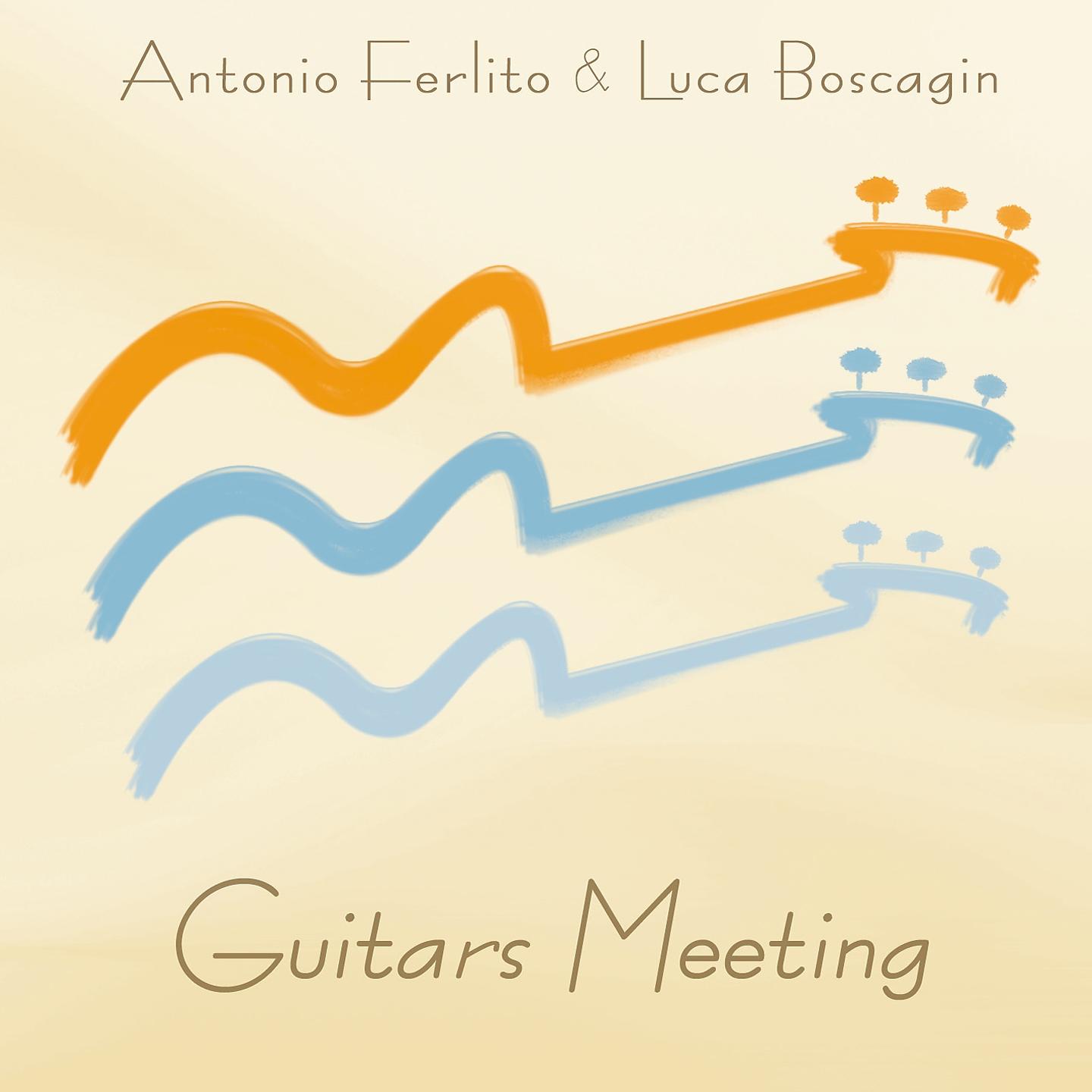 Постер альбома Guitars Meeting