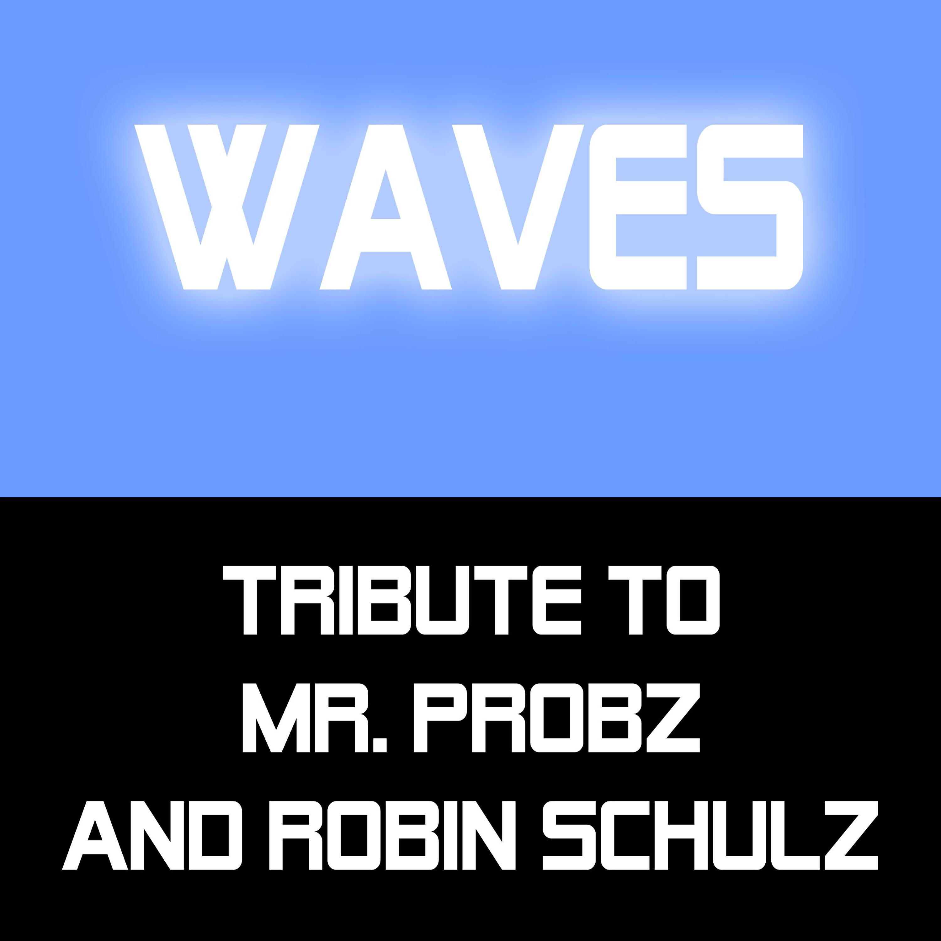 Tribute to Mr. Probz - Waves (Karaoke Version)