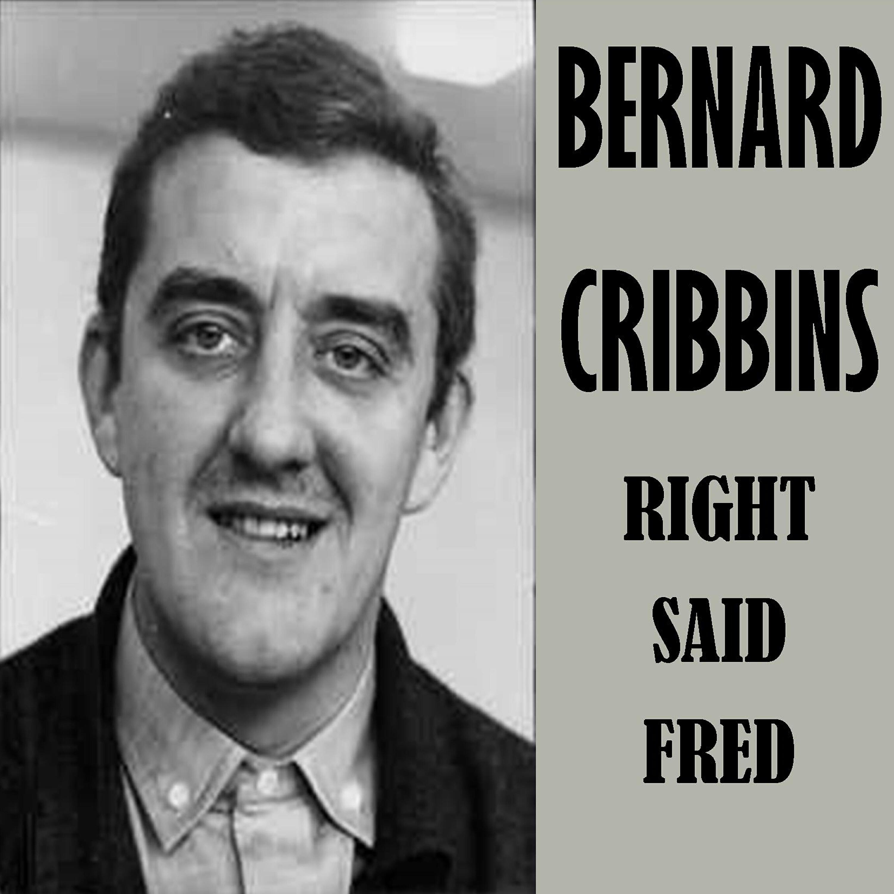 Bernard Cribbins - Winkle Picker Shoes
