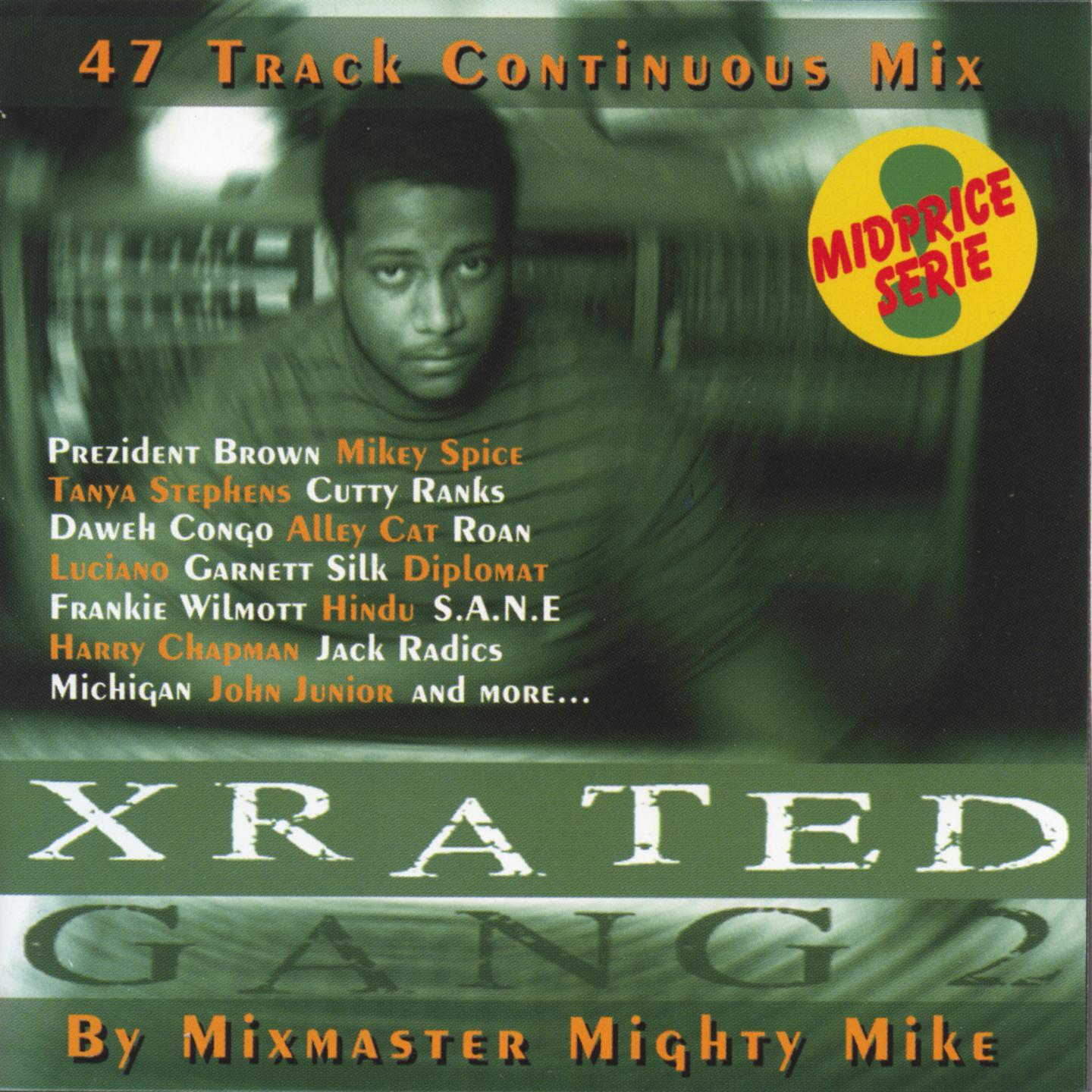 Постер альбома Xrated gang 2 continuous mix (mighty mike)