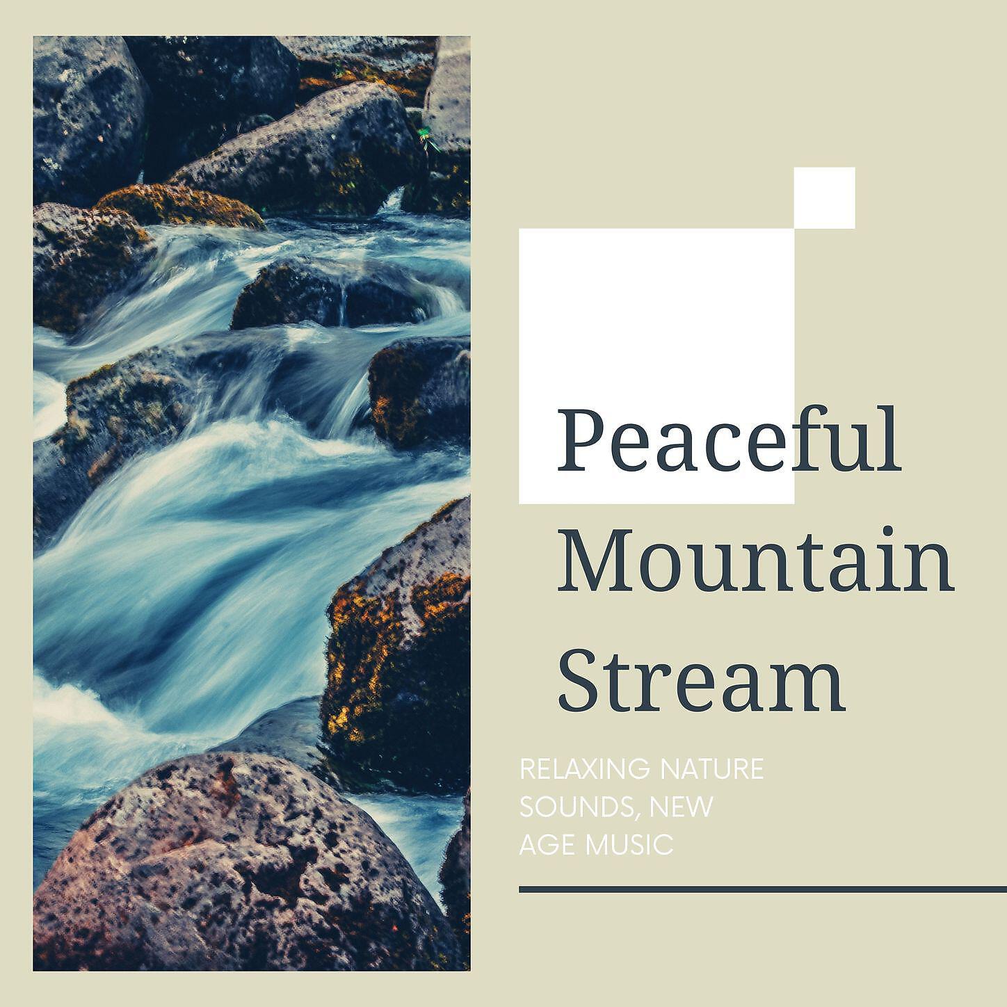 Bedtime Songs Collective - Source of Peace