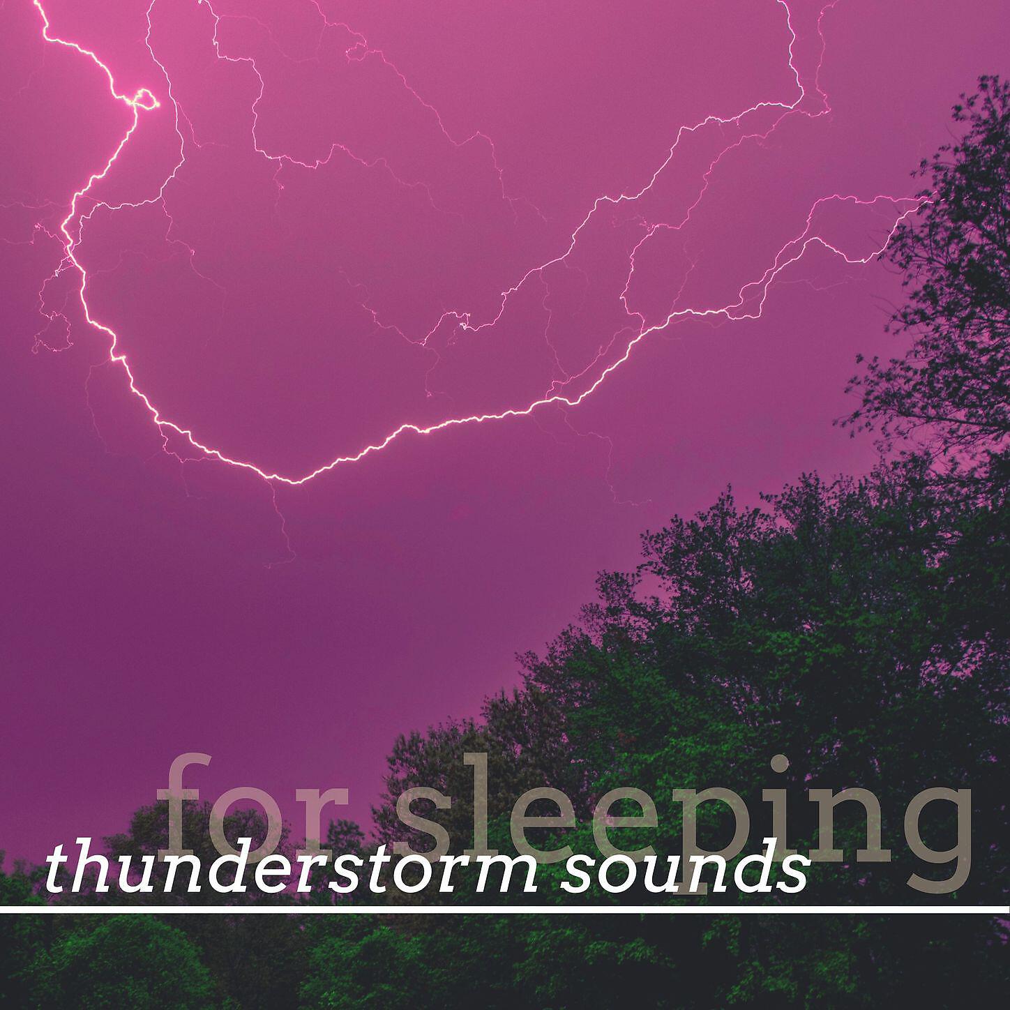 Soundscape Foundation - Nature's Frequency