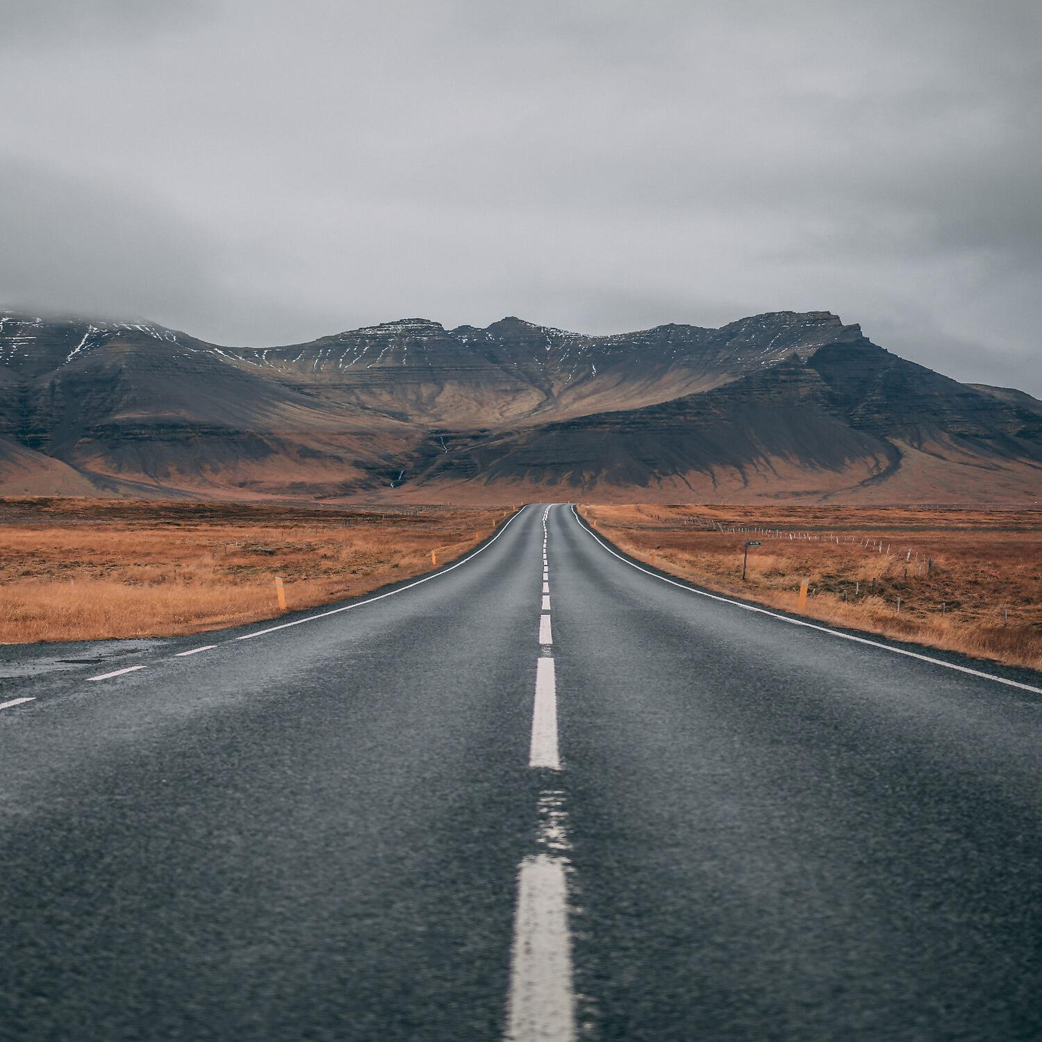 David Wellsy - Long Rolly Road