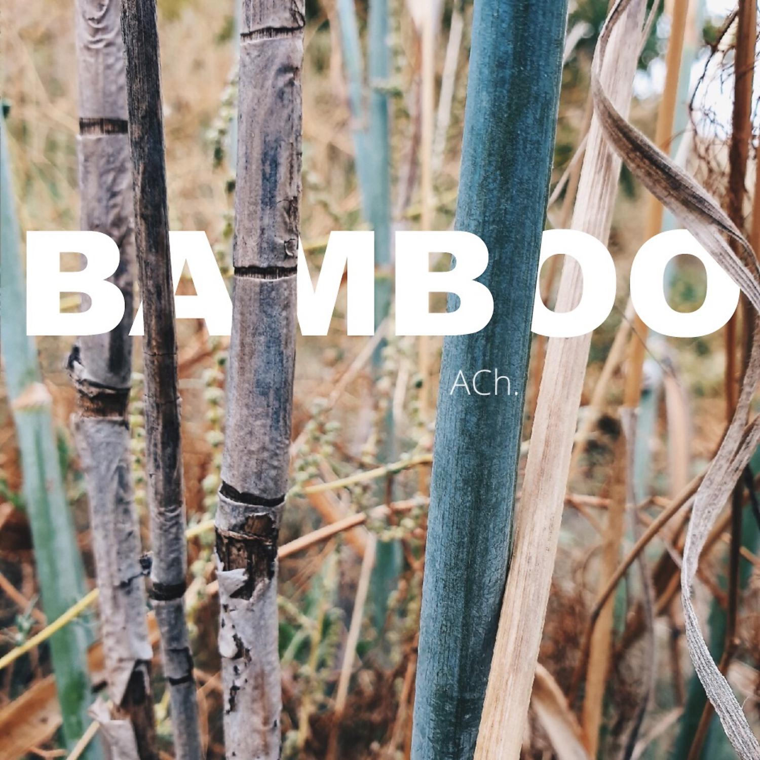 Постер альбома bamboo
