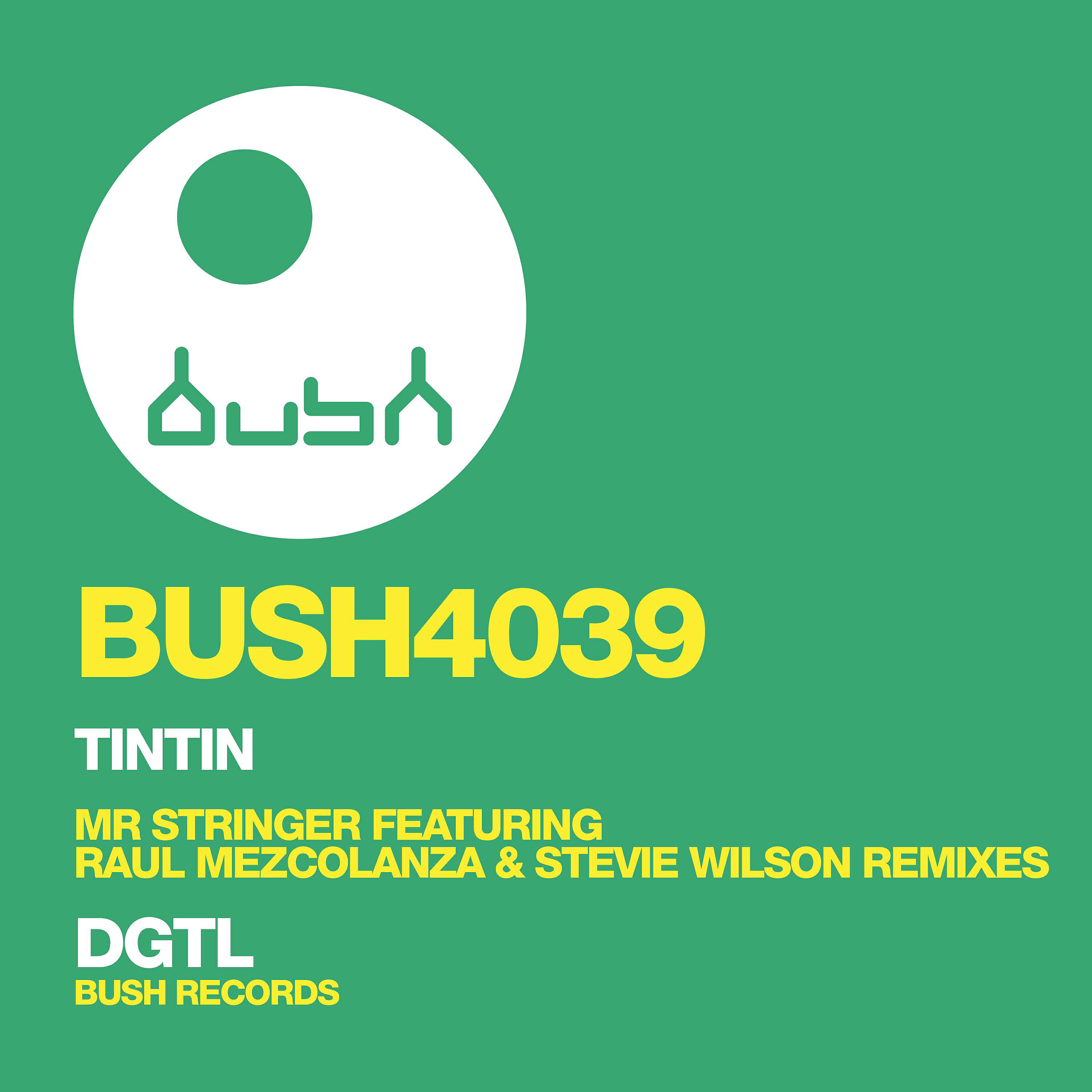 TINTIN - Mr Stringer (Stevie Wilson Remix)