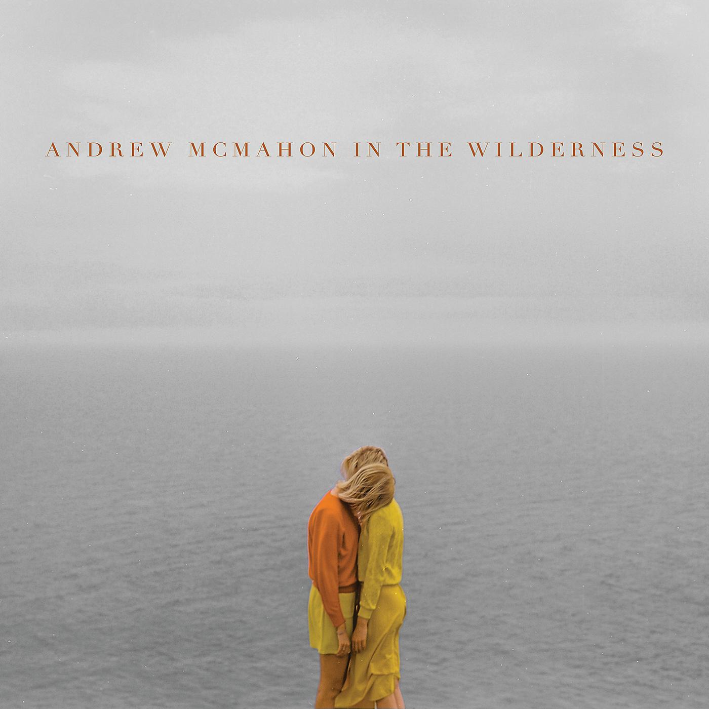 Постер альбома Andrew McMahon In The Wilderness