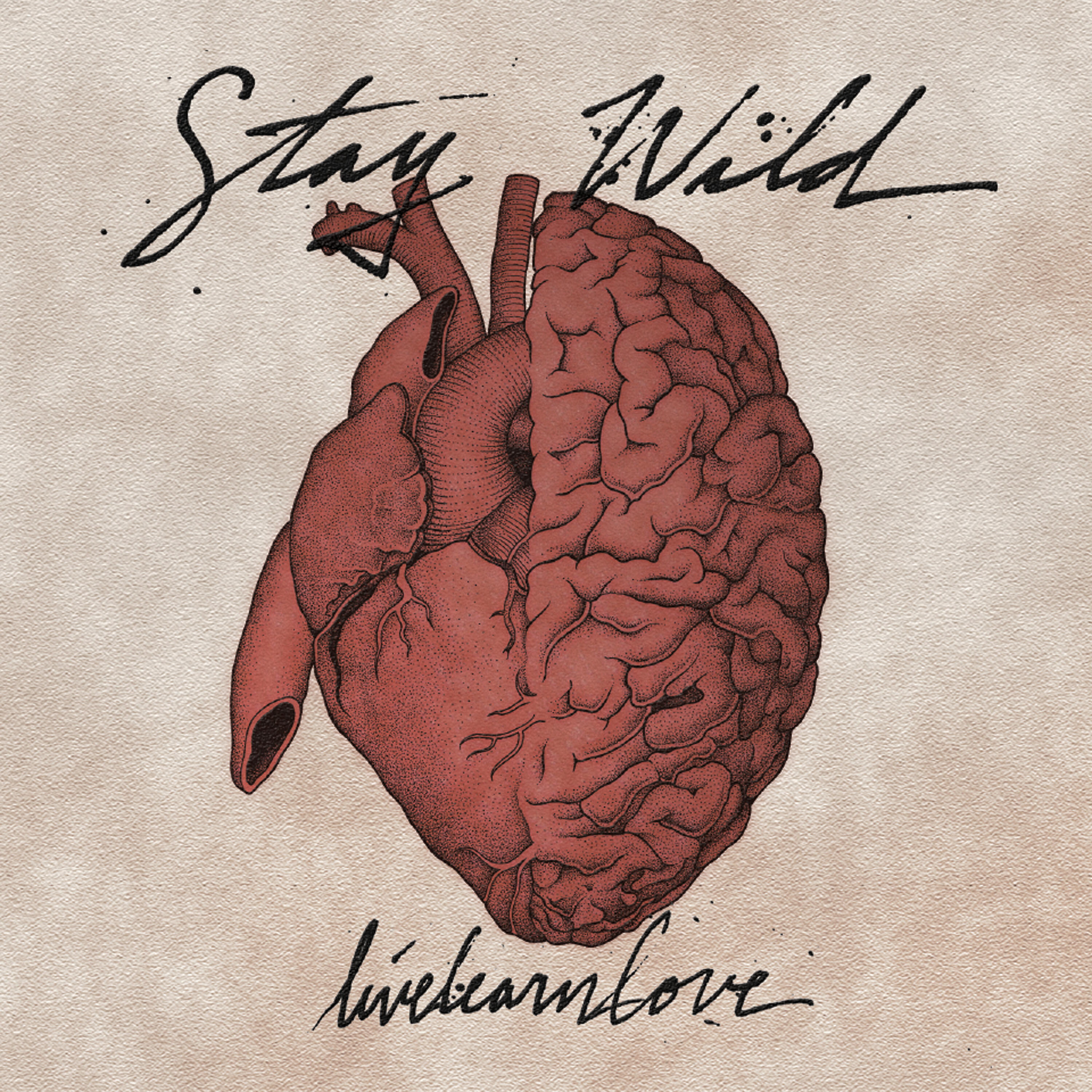 Stay Wild - The Killjoy Luck Club