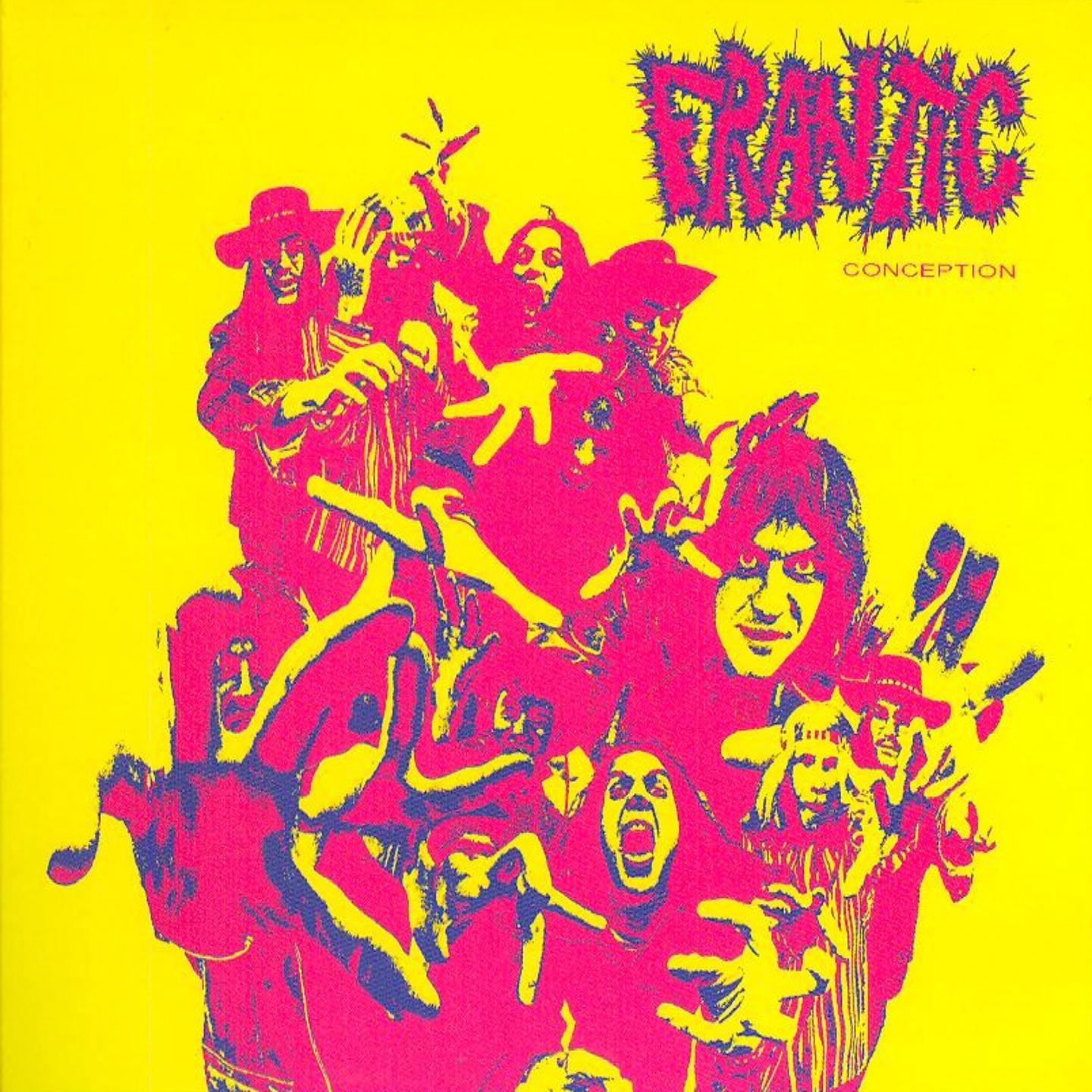 Постер альбома Frantic Conception