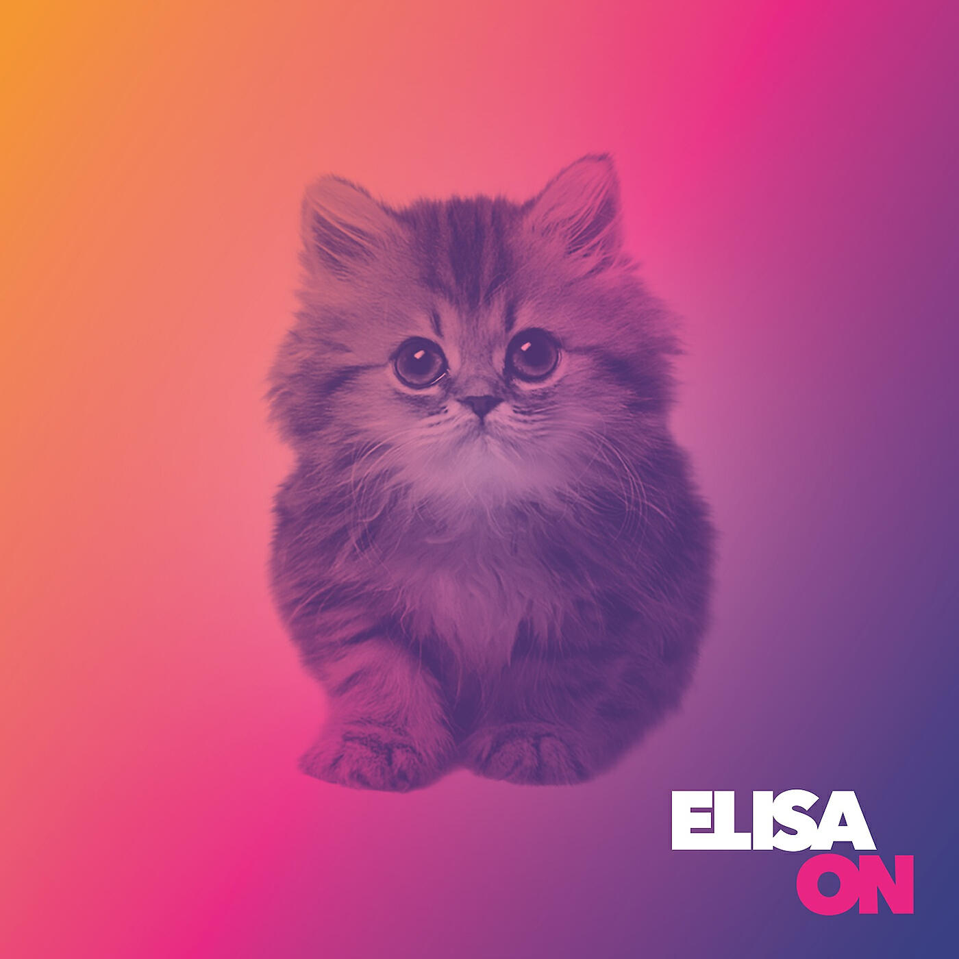 ELISA - Waste Your Time On Me