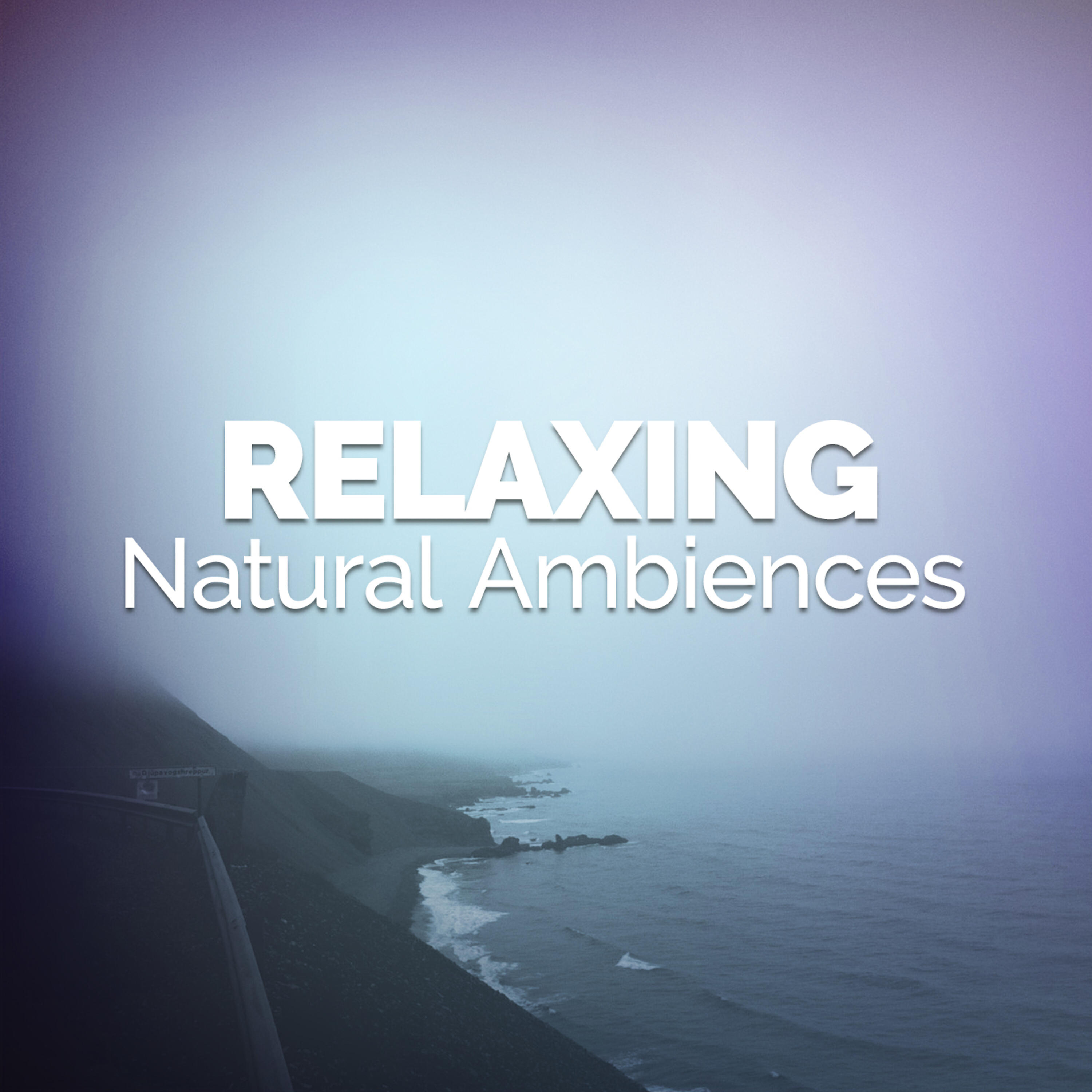 Relaxing Nature Ambience - Picnic by the Duck Pond