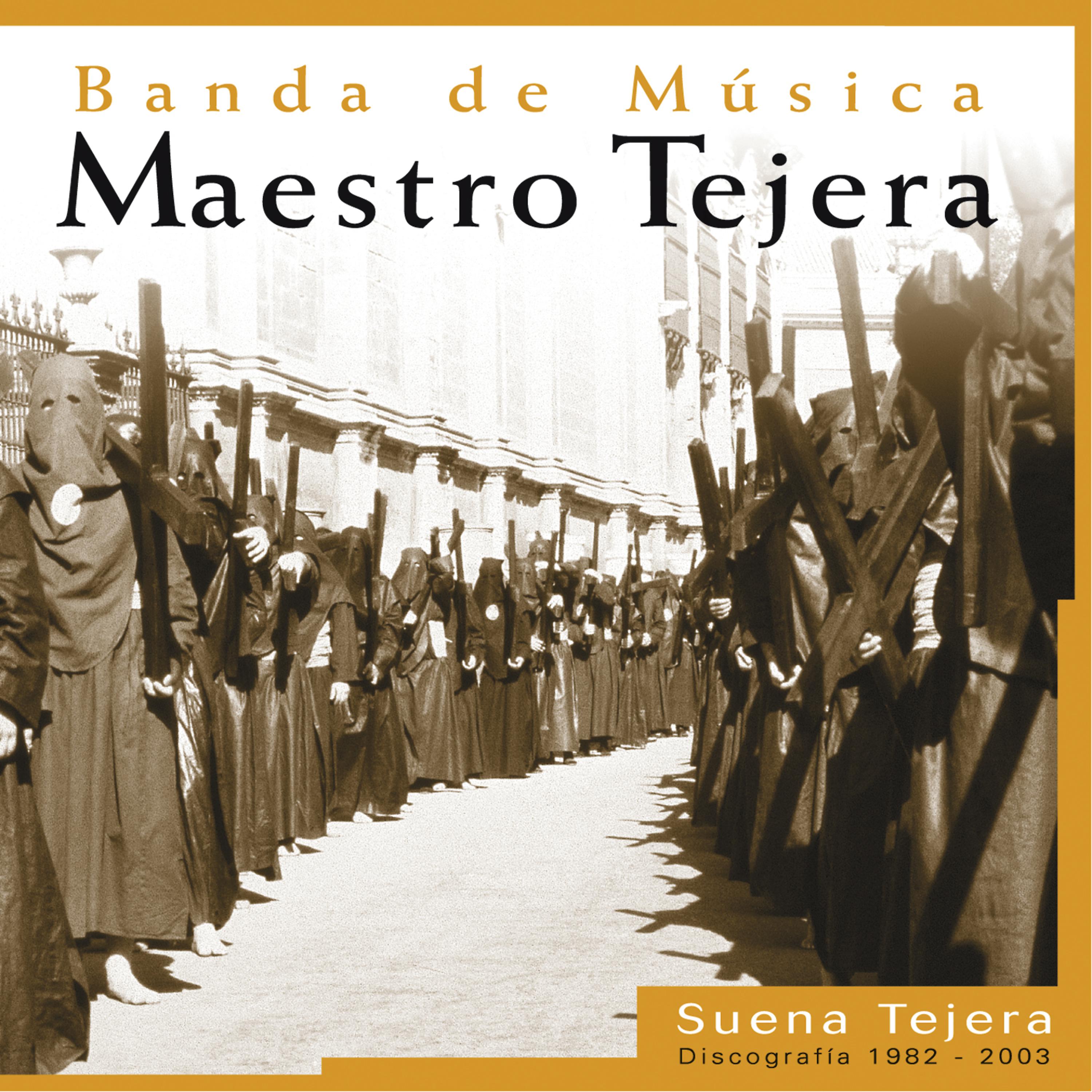 Постер альбома Suena Tejera