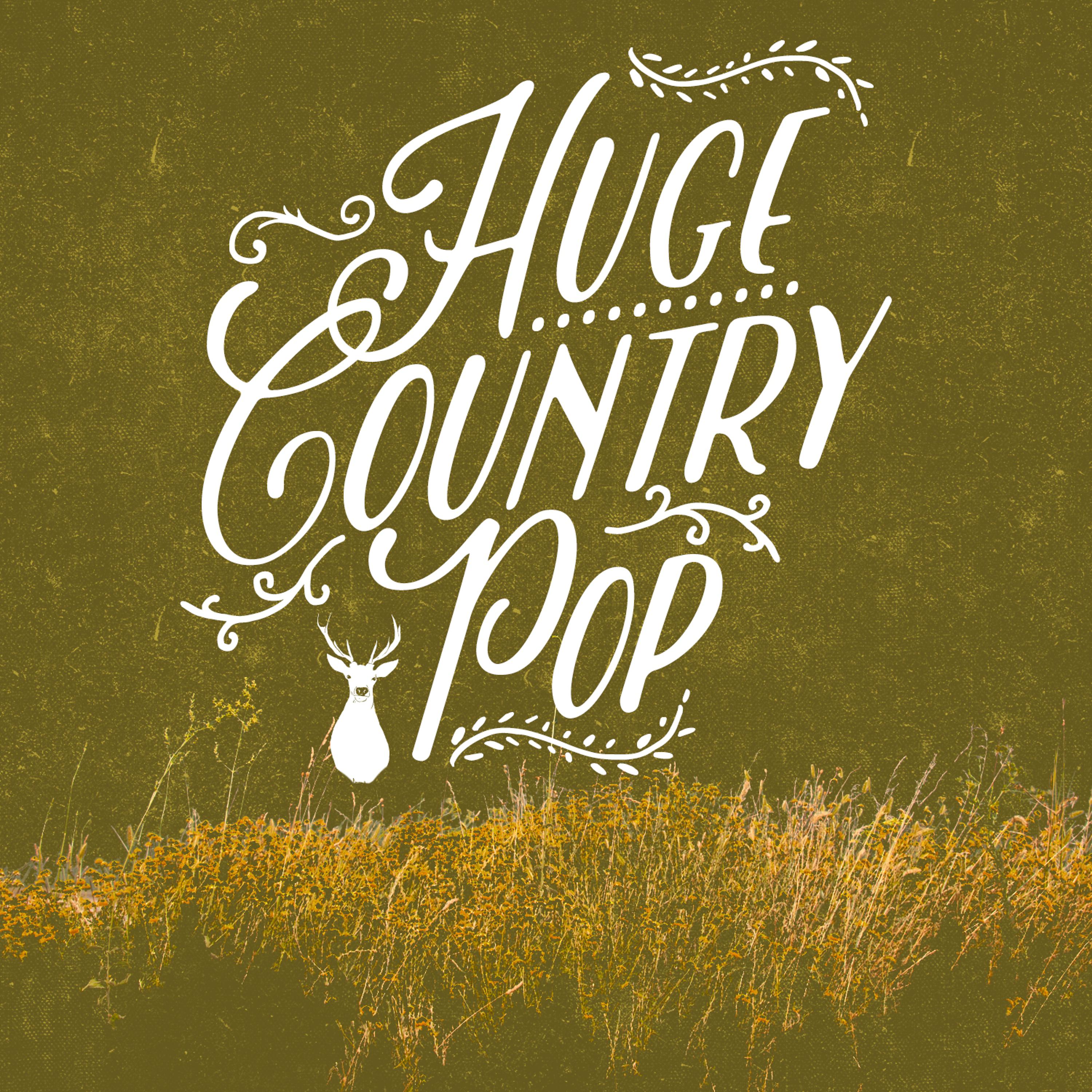 Постер альбома Huge Country Pop