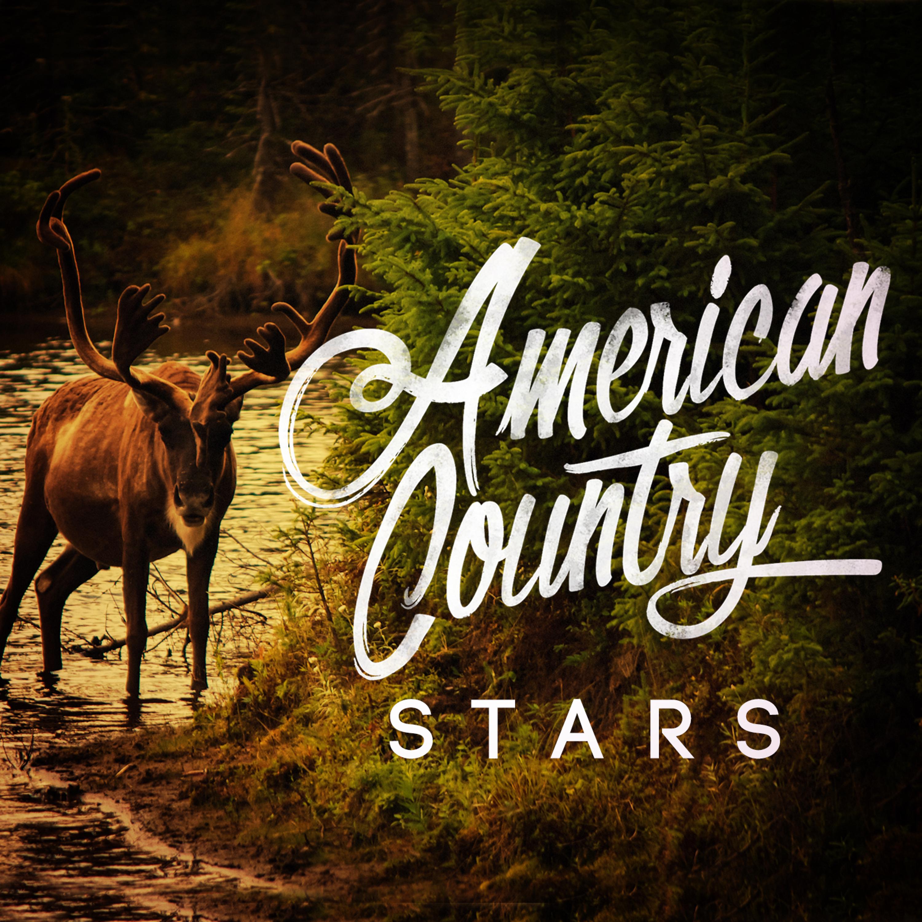Постер альбома American Country Stars