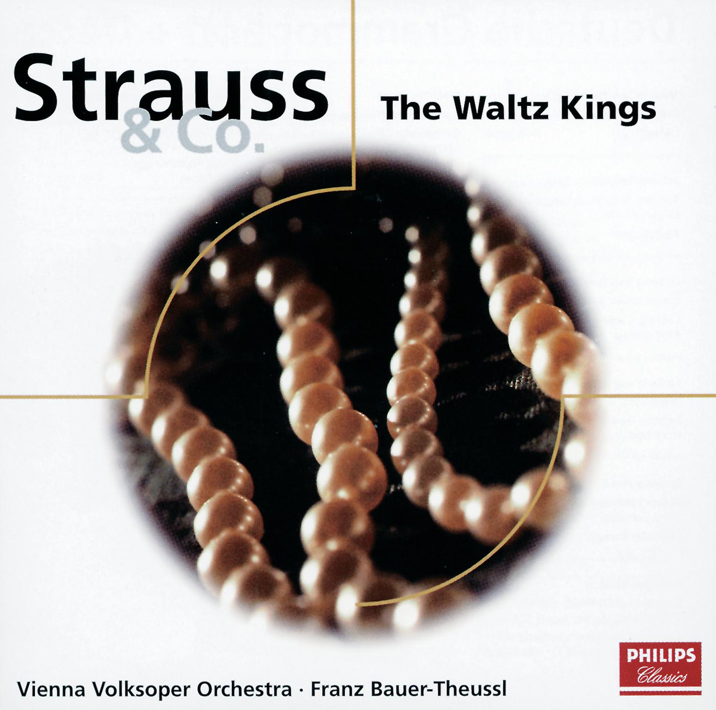 Постер альбома Strauss & Co.: The Waltz Kings