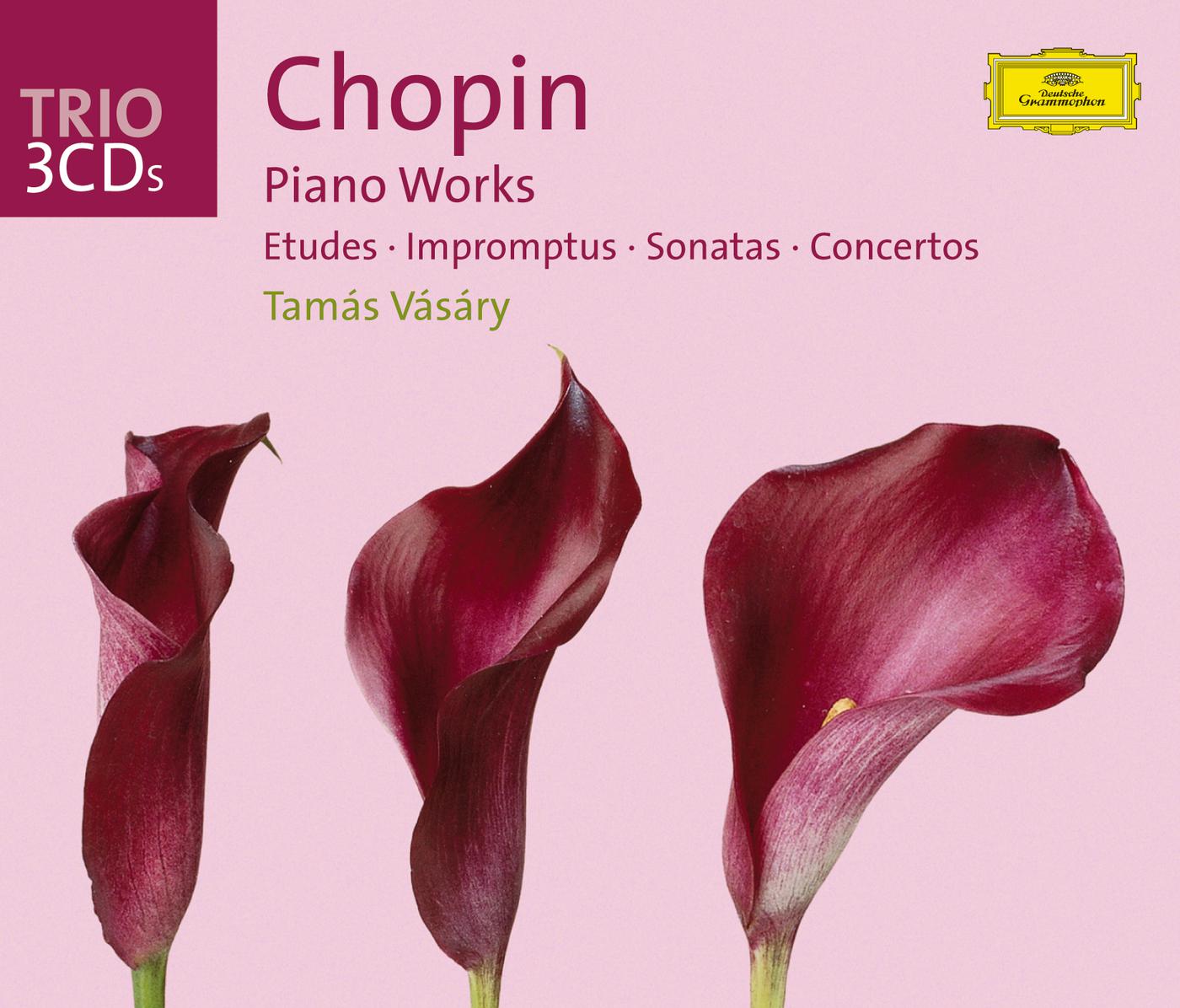 Постер альбома Chopin: Piano Works