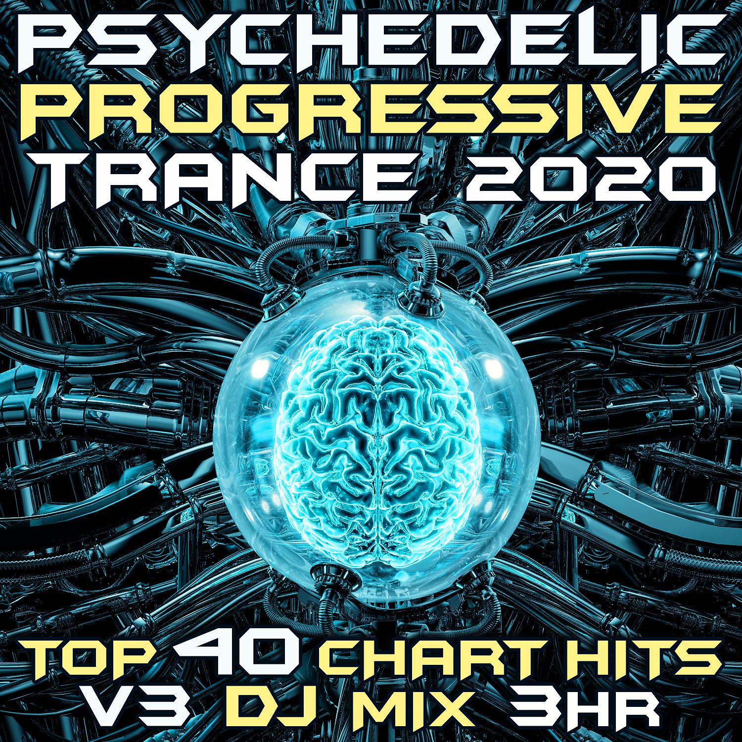 Постер альбома Psychedelic Progressive Trance 2020 Top 40 Chart Hits, Vol. 3 (DJ Mix 3Hr)