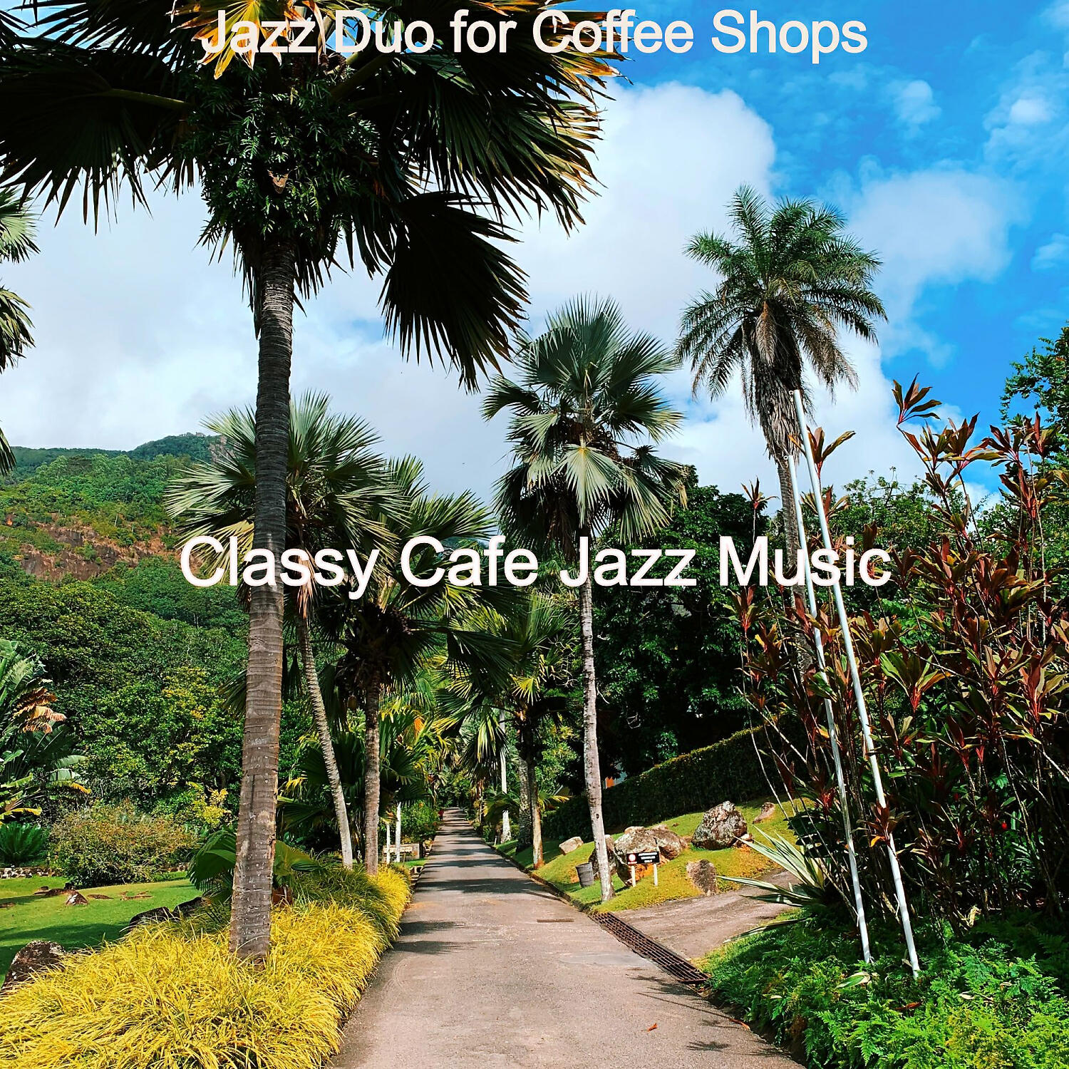 Classy Cafe Jazz Music - Uplifting Soundscape for Summer Nights
