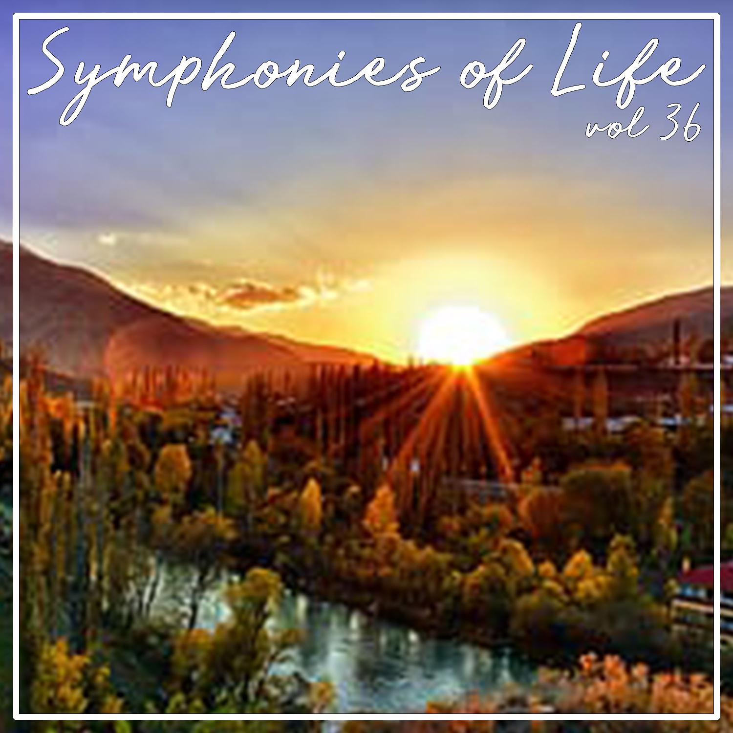 Постер альбома Symphonies of Life, Vol. 36 - Gluck: Orfeo ed Euridice