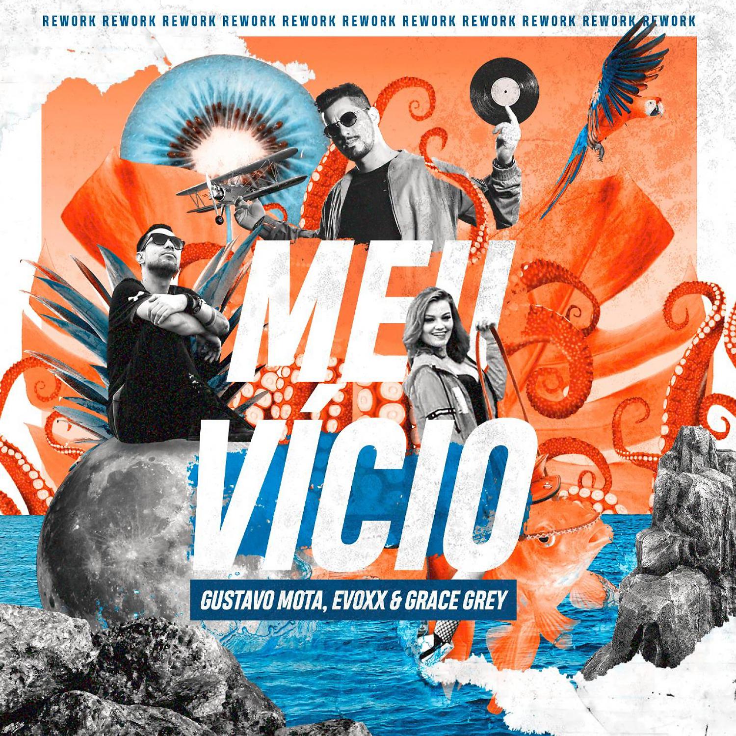 Постер альбома Meu Vício (Rework)