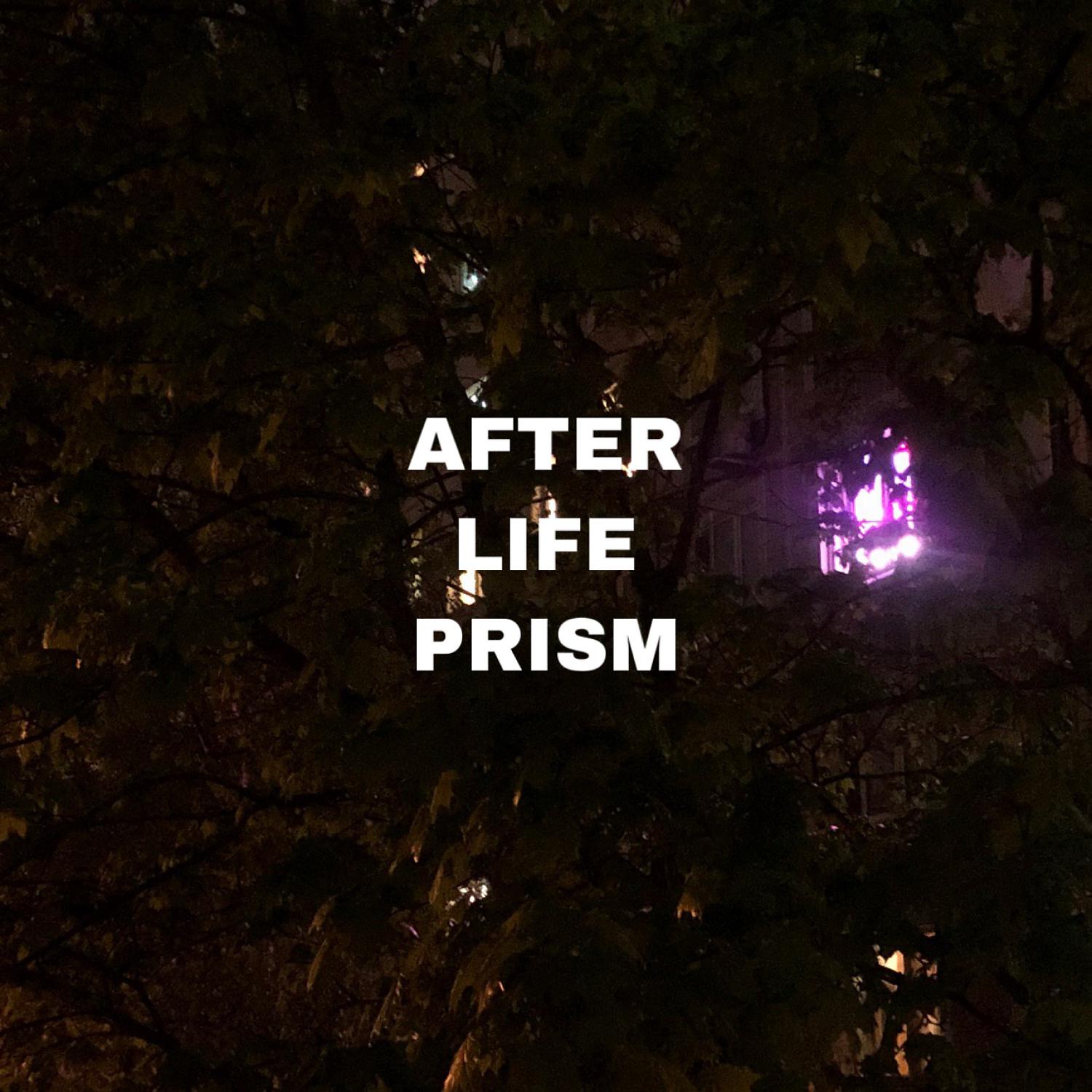 Постер альбома AFTERLIFE PRISM