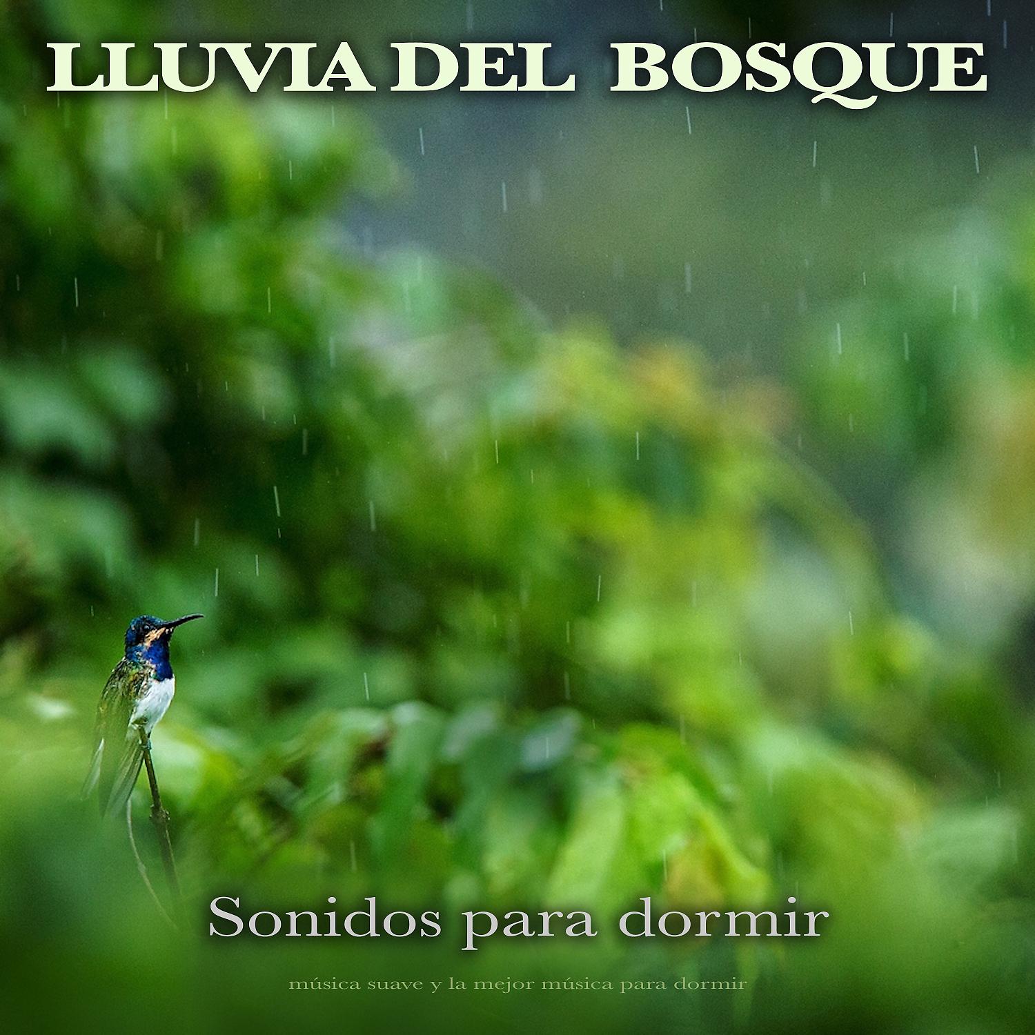 Постер альбома Lluvia del Bosque: Sonidos para dormir, música suave y la mejor música para dormir