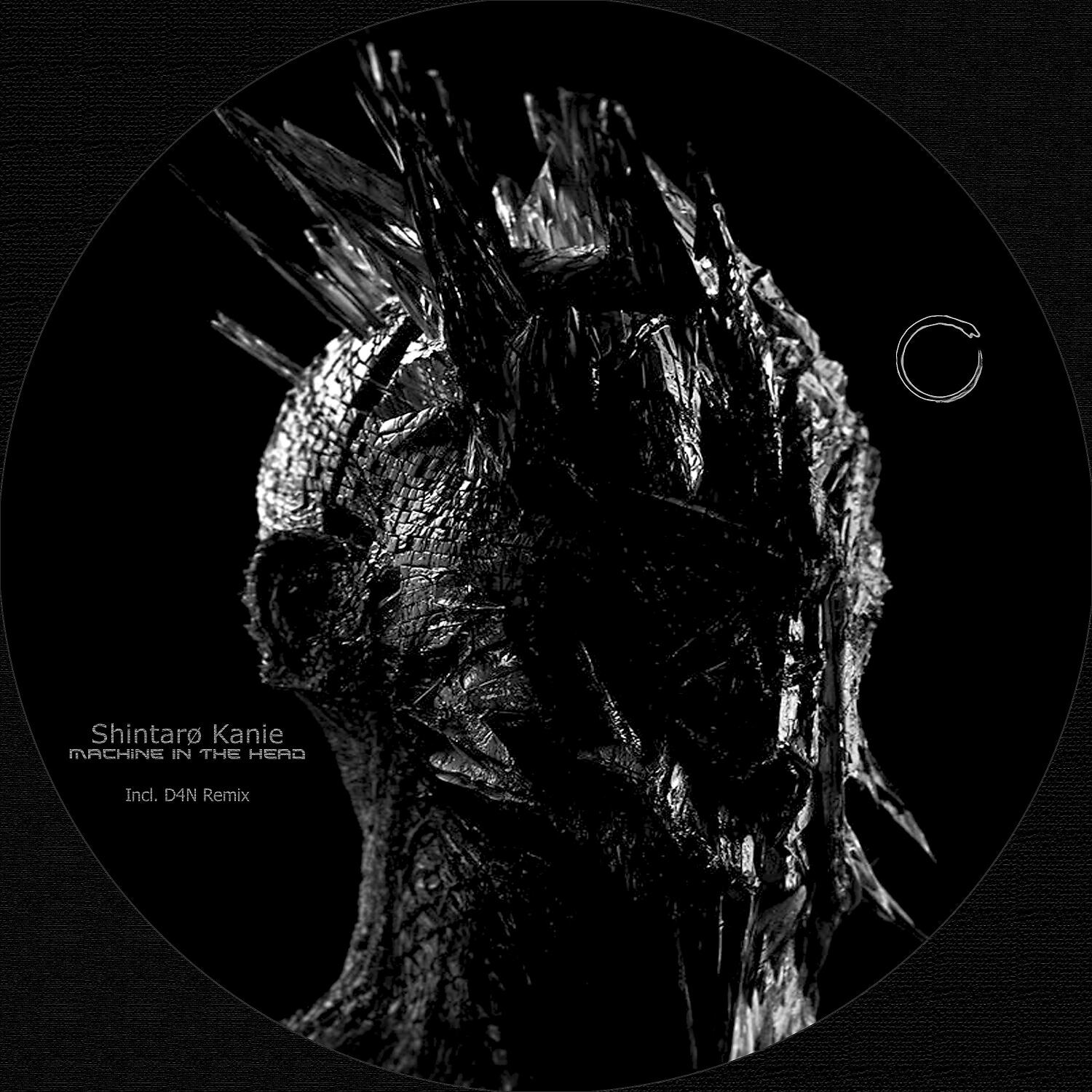 Shintarø Kanie - Polarity Formula (D4N (ARG) Remix)